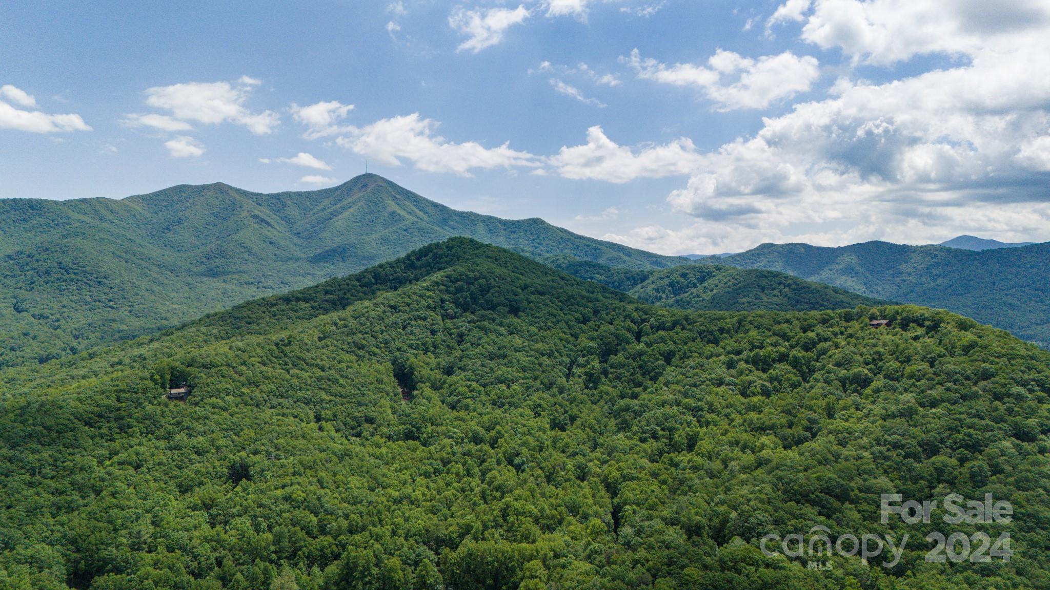 95 Treetops Drive Property Photo 14