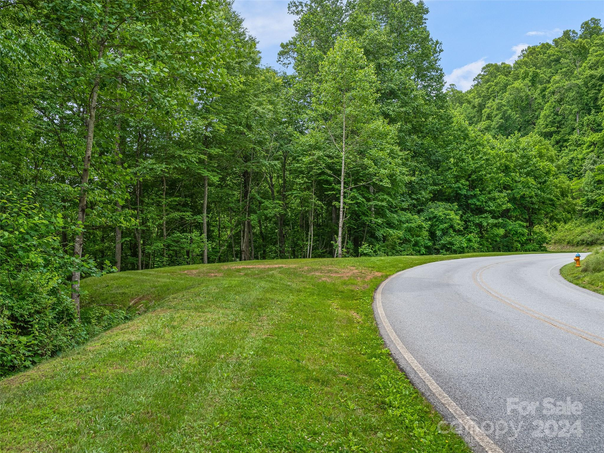 99999 Cliffsridge Parkway Property Photo 5