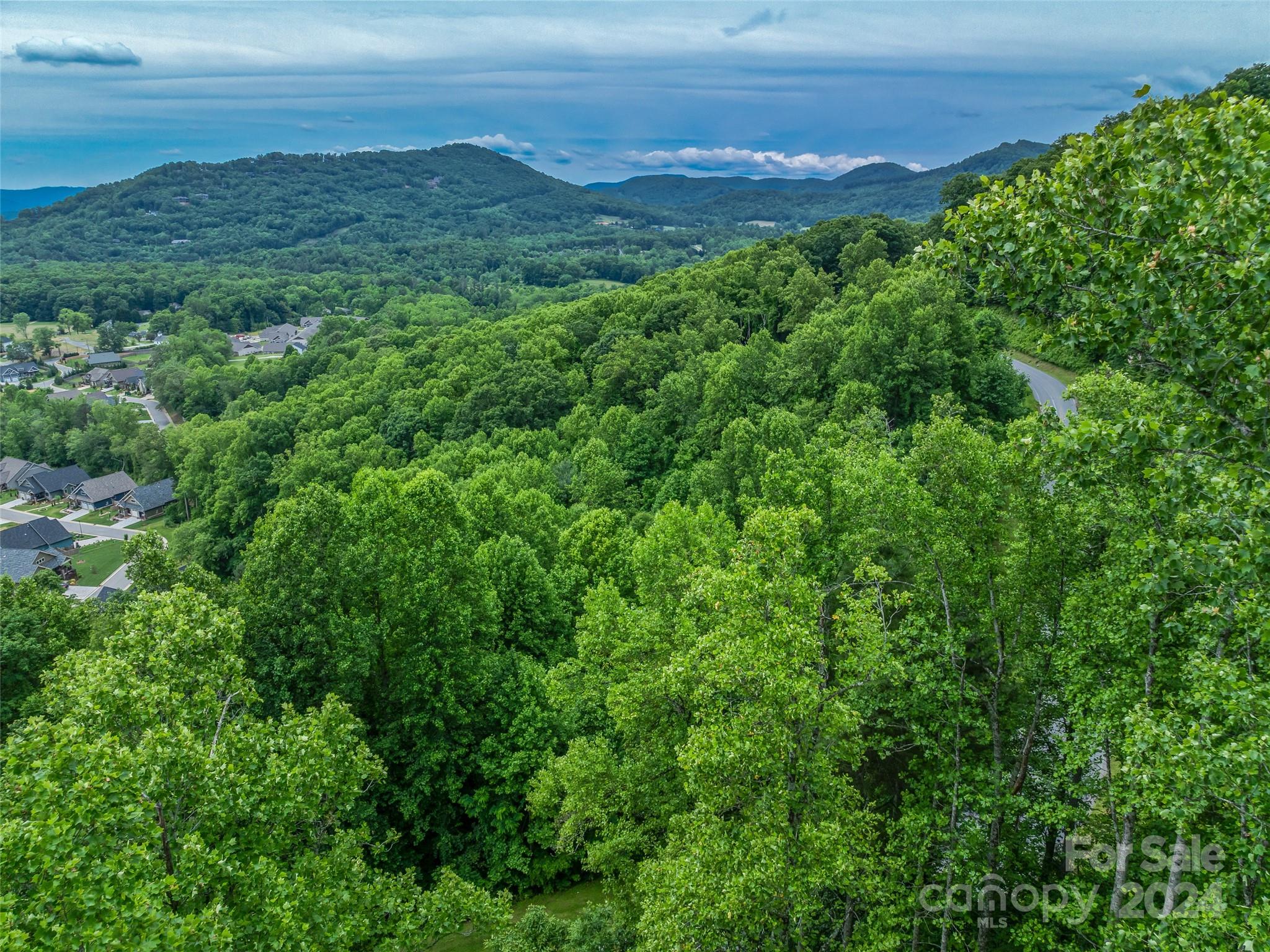 99999 Cliffsridge Parkway Property Photo 7