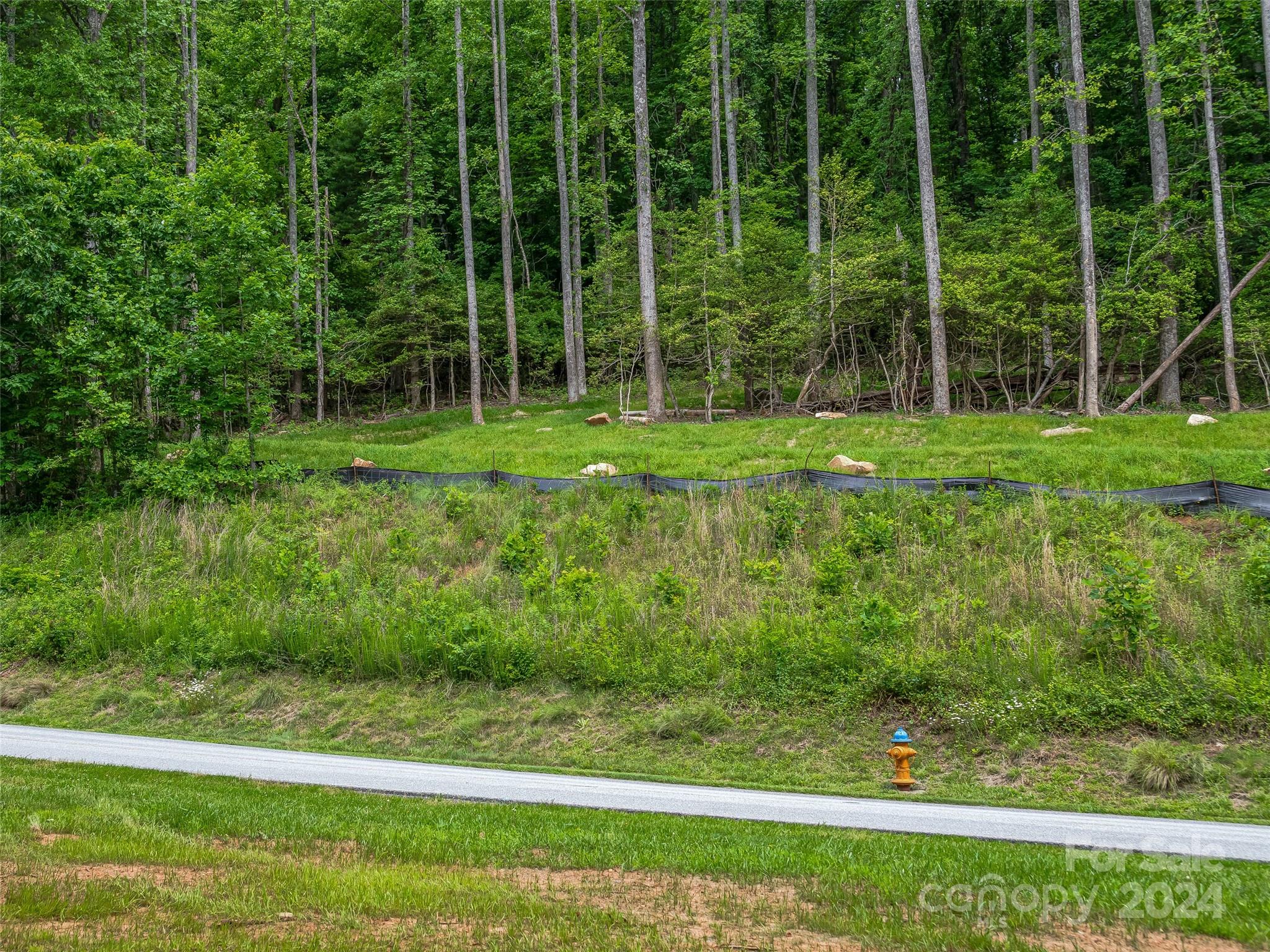 99999 Cliffsridge Parkway Property Photo 9