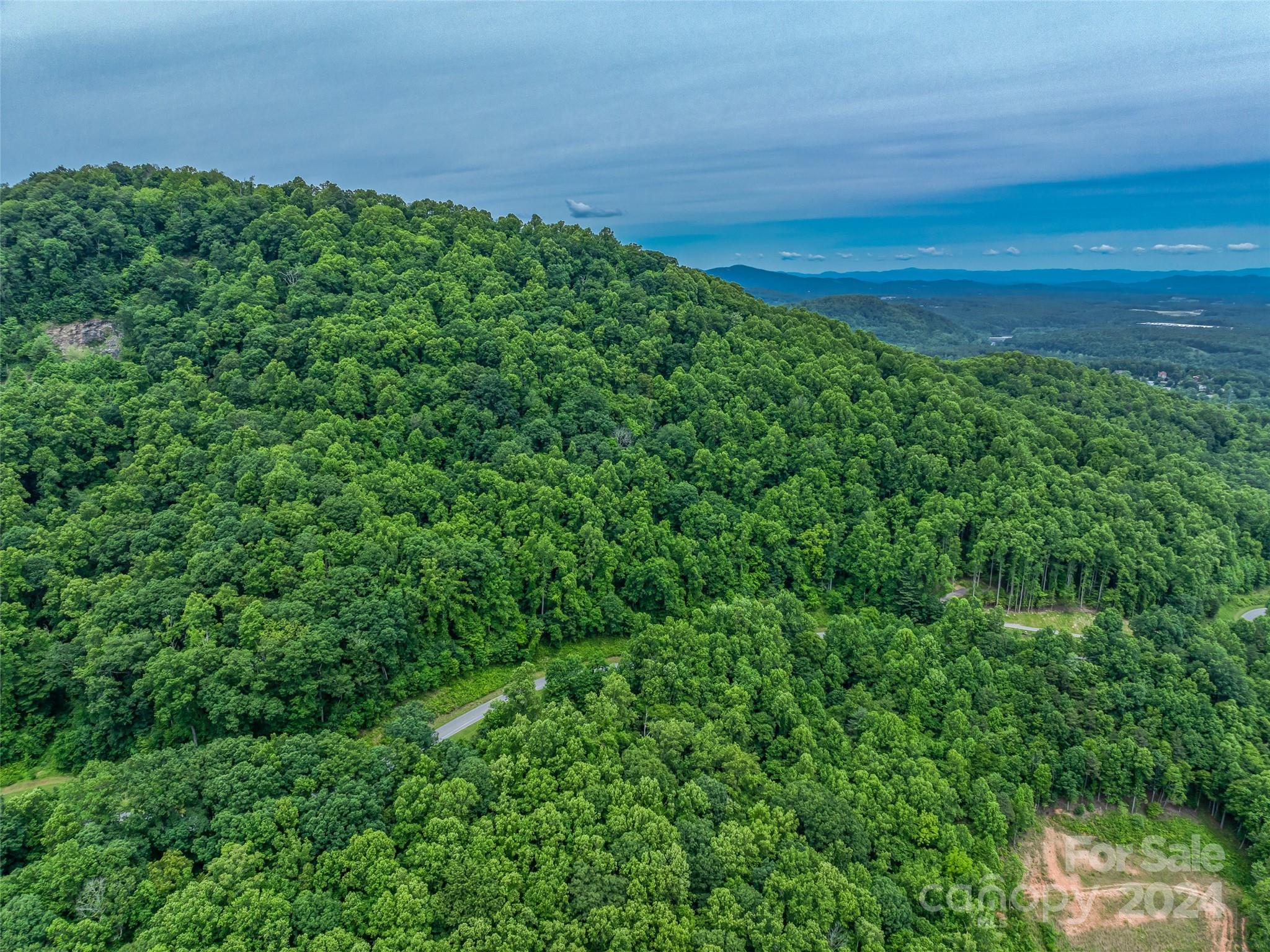 99999 Cliffsridge Parkway Property Photo 10