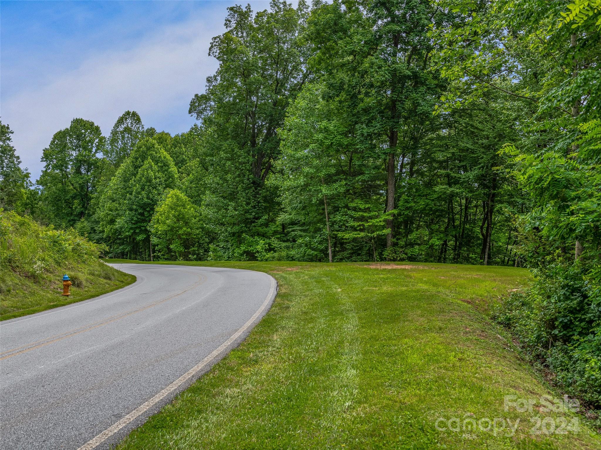 99999 Cliffsridge Parkway Property Photo 19