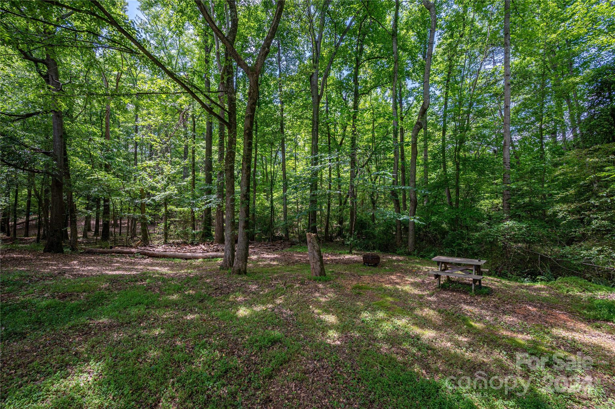 1219 Neely Smith Lane Property Photo 29