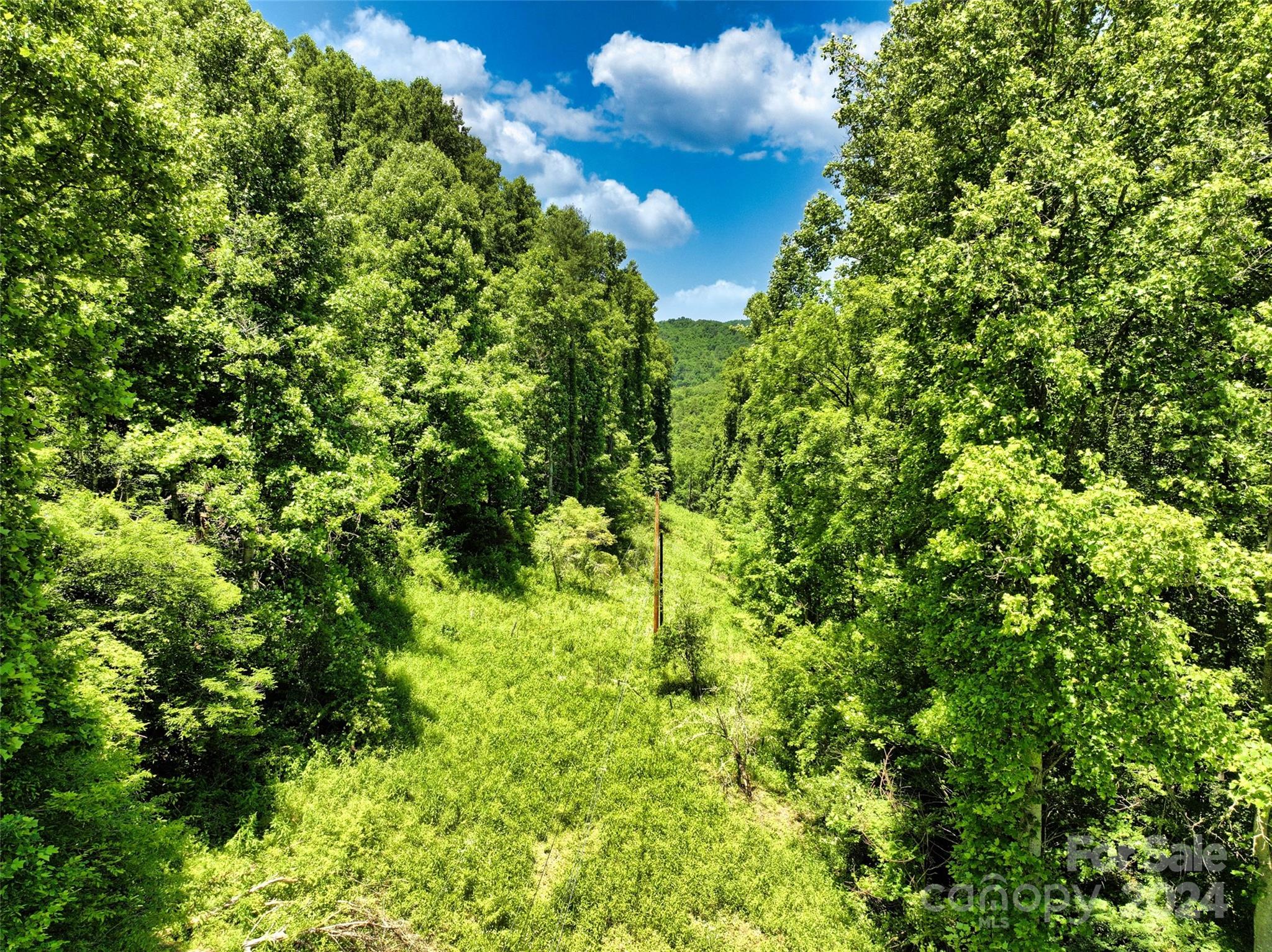 3065 Piney Hill Road Property Photo 14