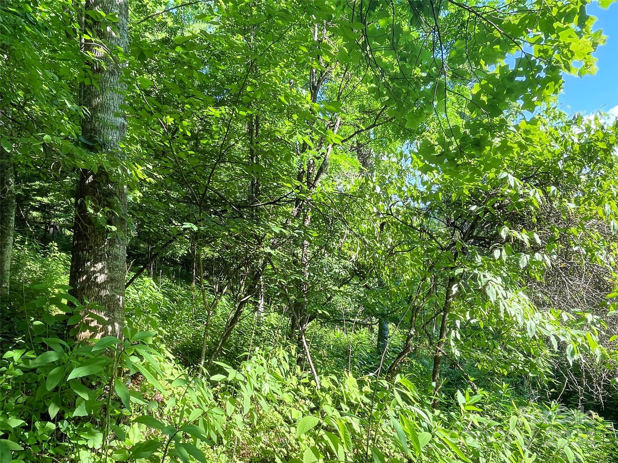 3065 Piney Hill Road Property Photo 15