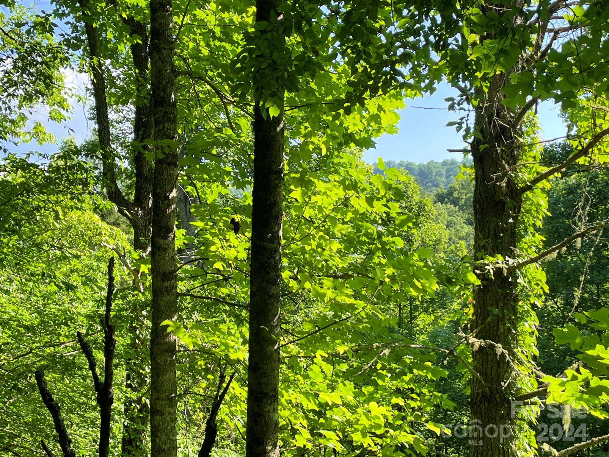 3065 Piney Hill Road Property Photo 18