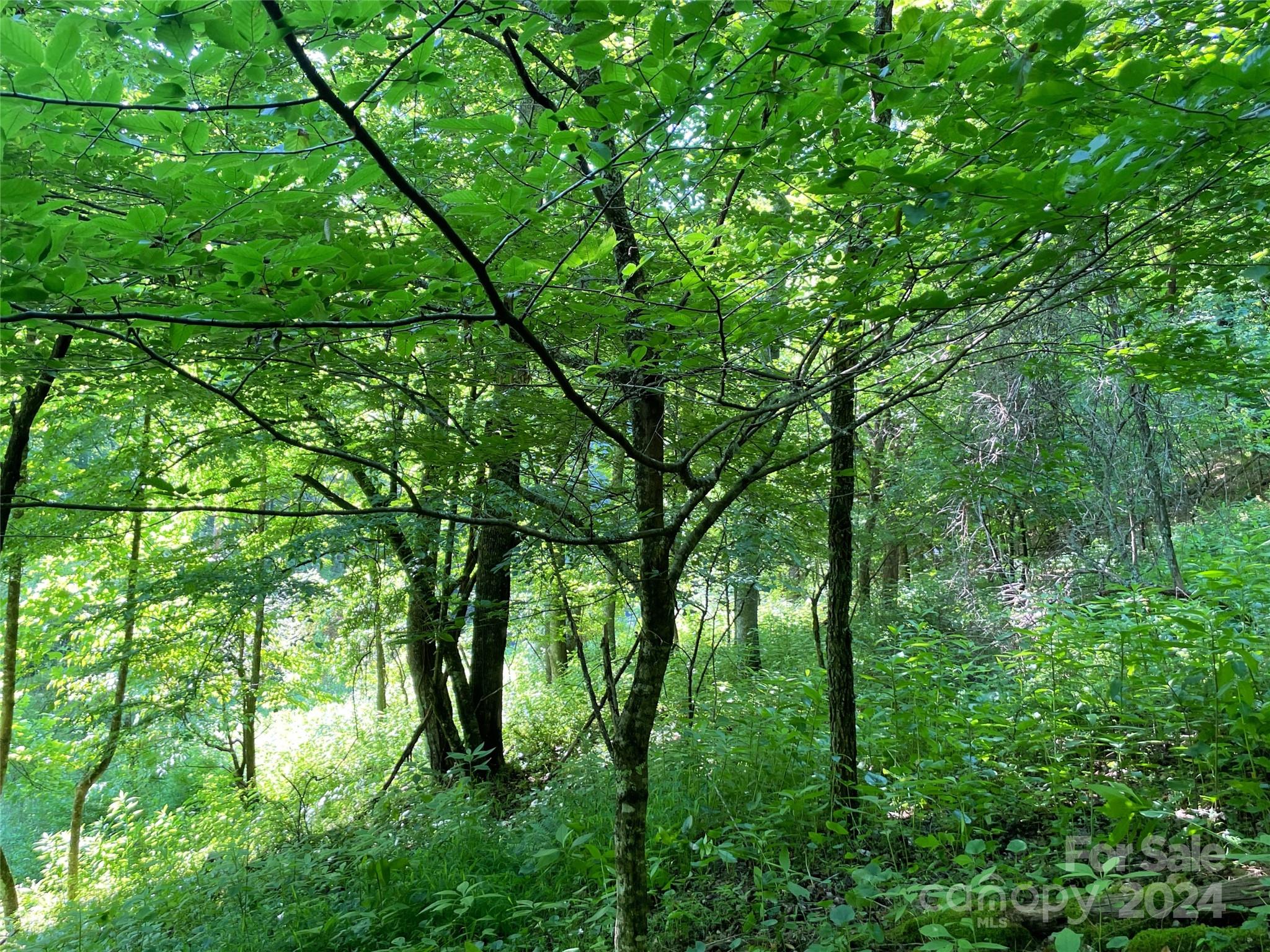3065 Piney Hill Road Property Photo 20