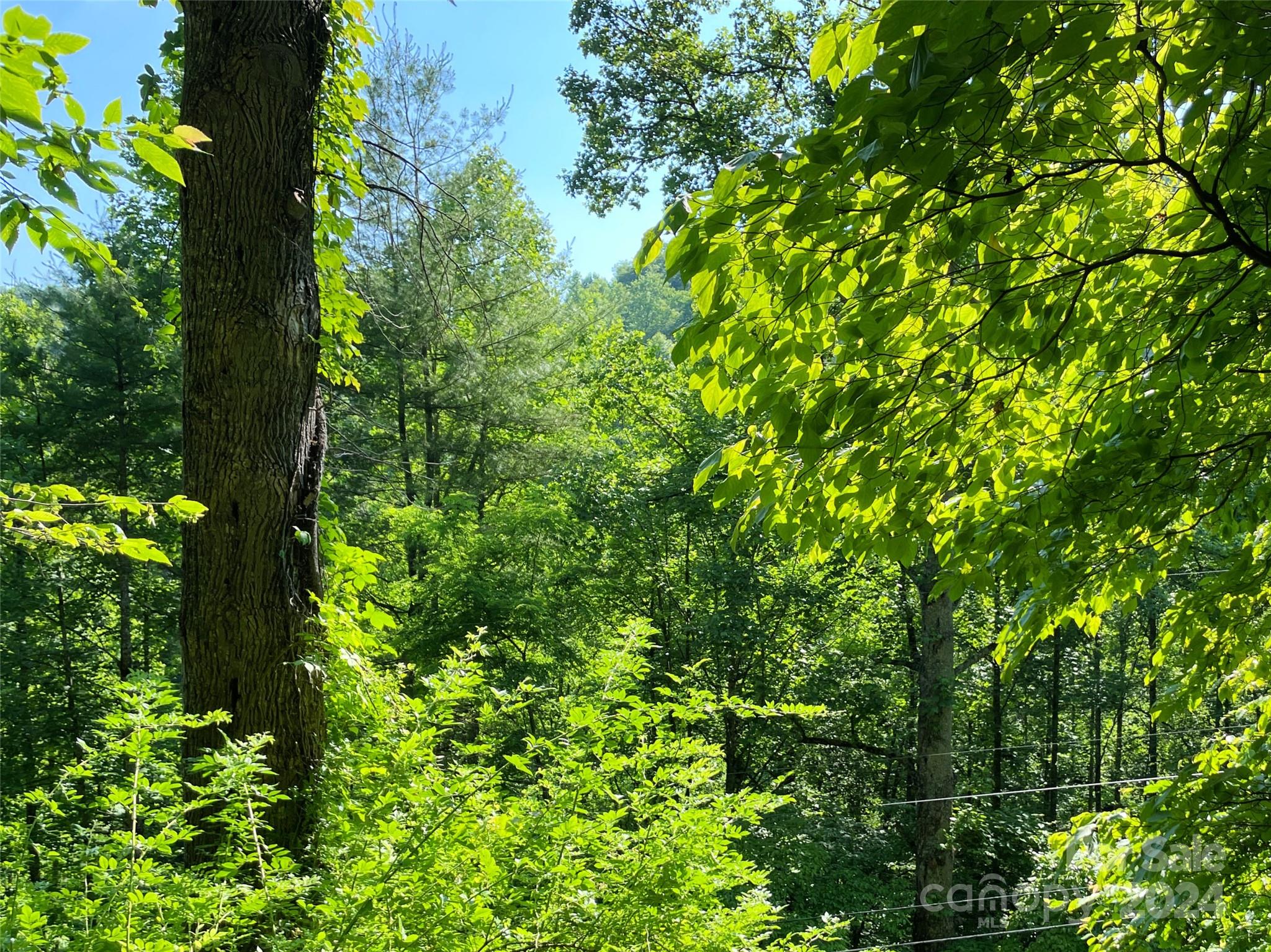 3065 Piney Hill Road Property Photo 21