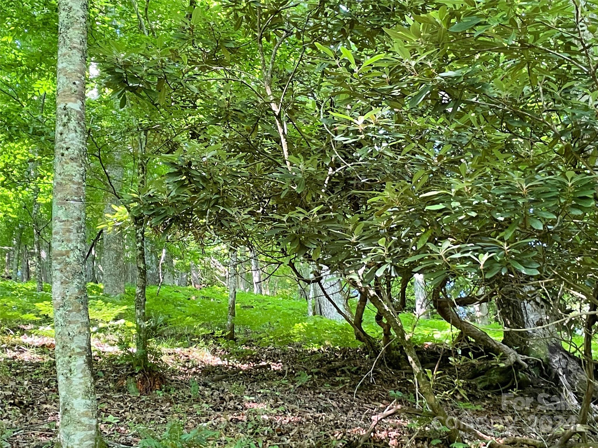 3065 Piney Hill Road Property Photo 27
