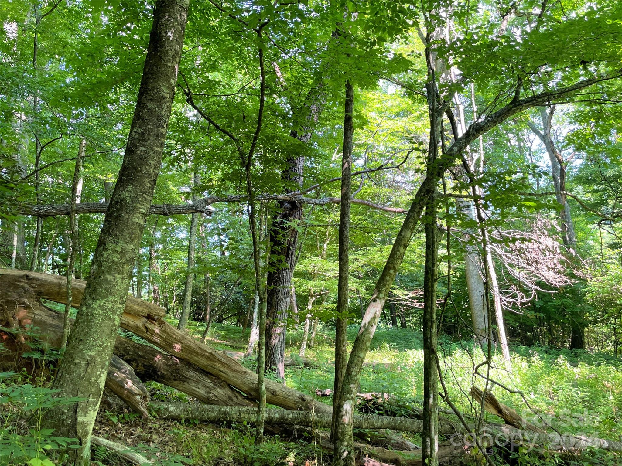 3065 Piney Hill Road Property Photo 28