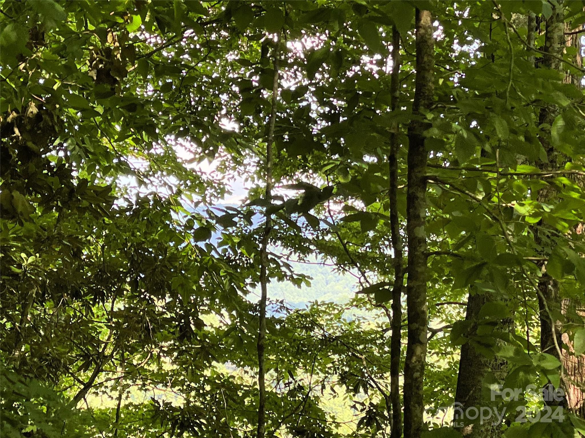 3065 Piney Hill Road Property Photo 33