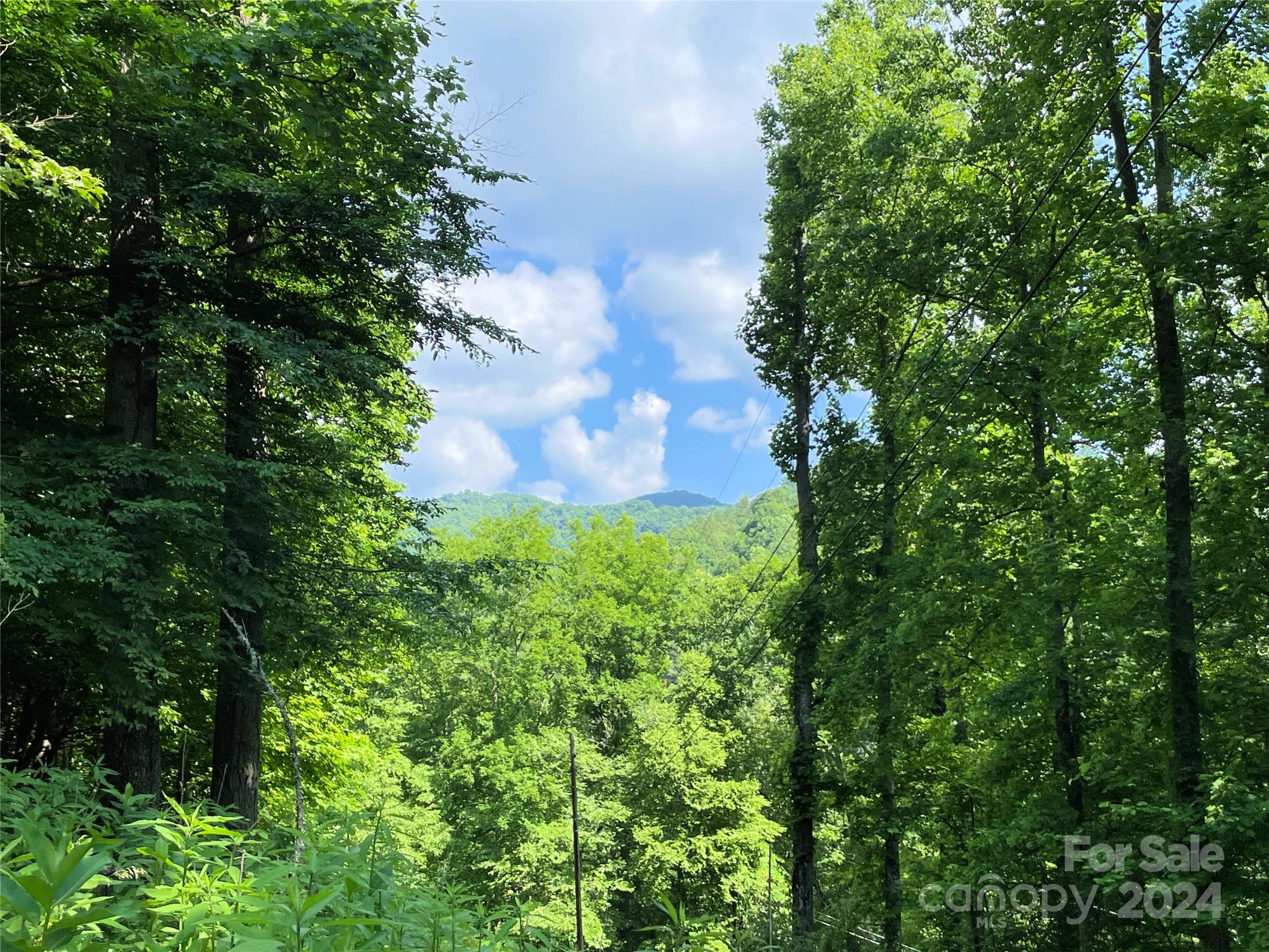 3065 Piney Hill Road Property Photo 34