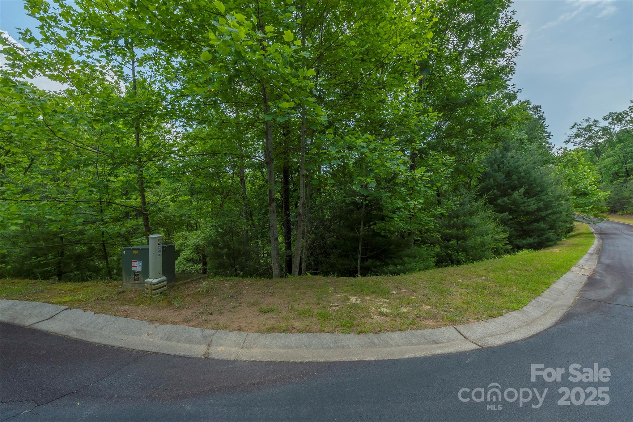 99999 May Fly Lane 98 Property Photo 4
