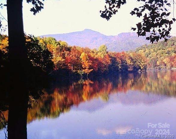 Tbd Biggerstaff Loop Lot # 21 Property Photo 12