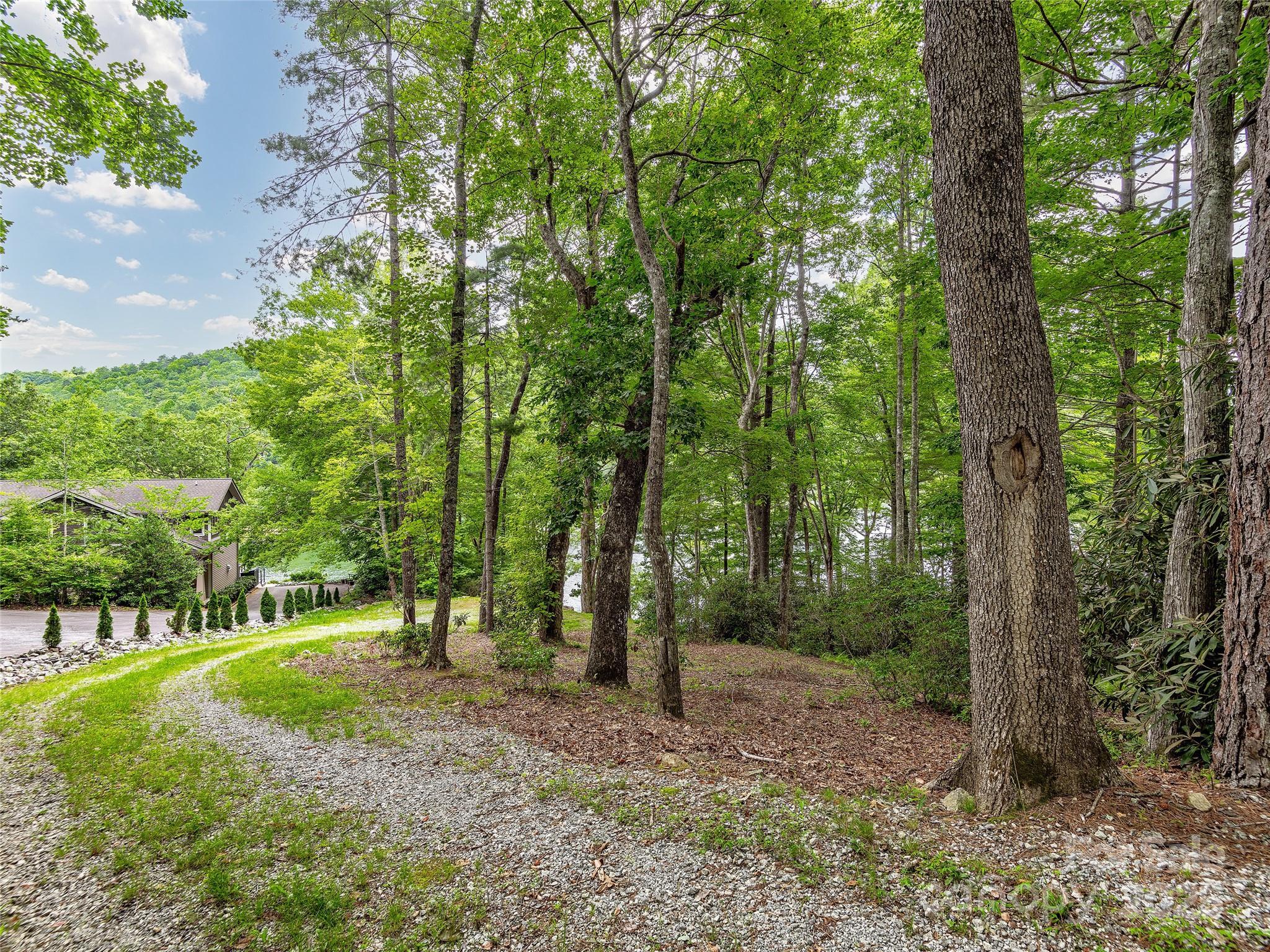 Lot 102a Hwy 64 Drive 102 Property Photo 5