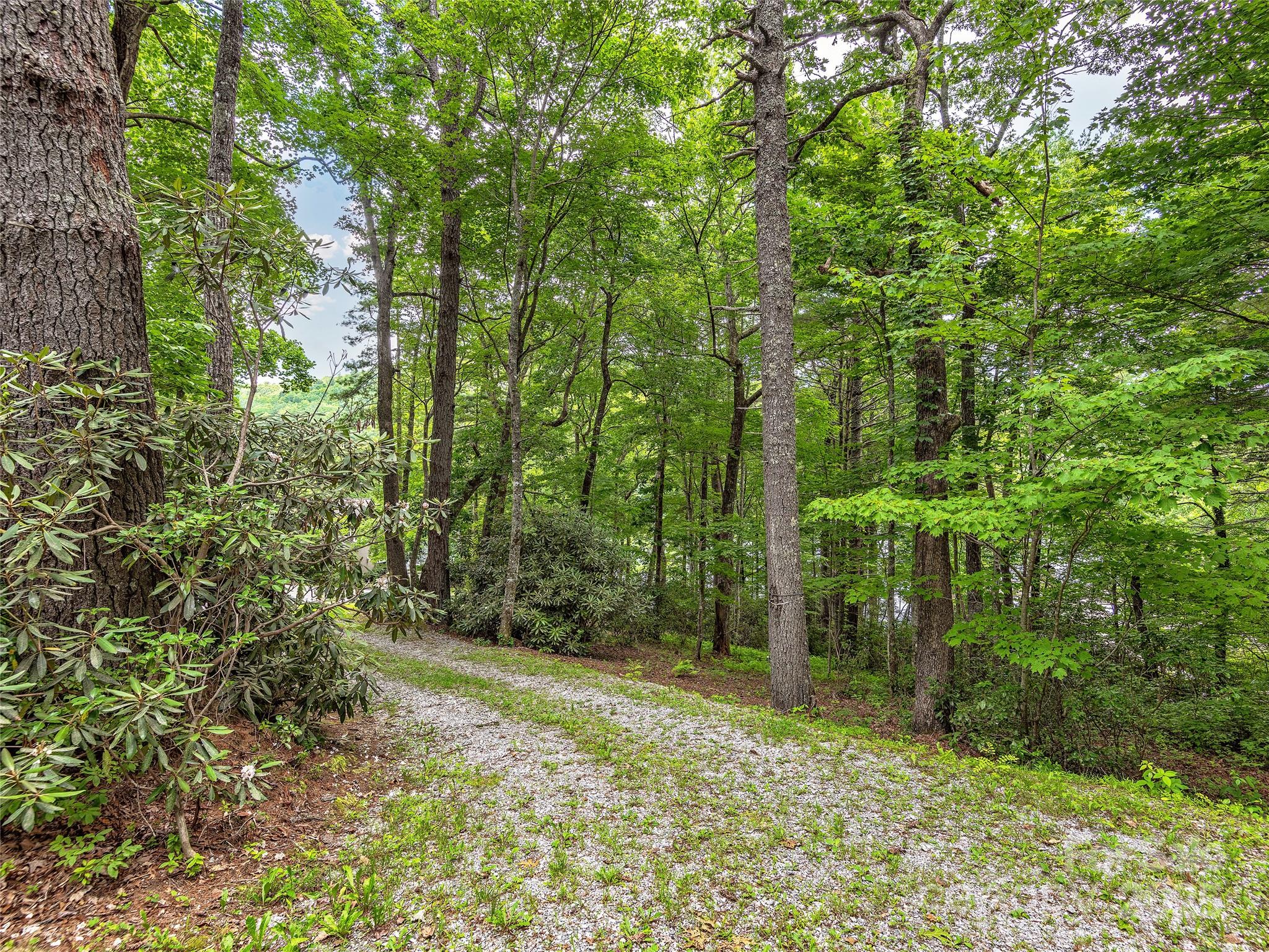 Lot 102a Hwy 64 Drive 102 Property Photo 6