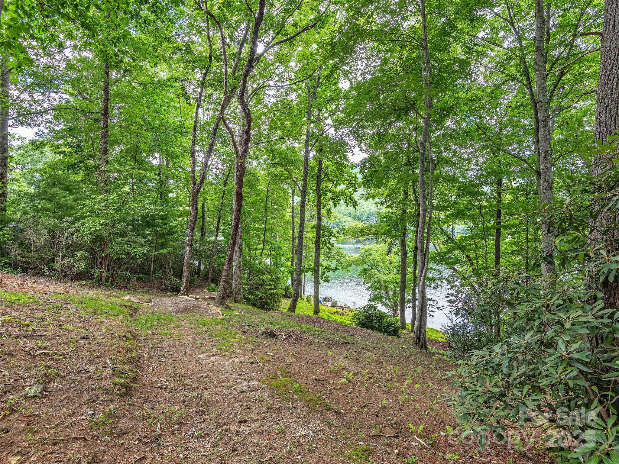 Lot 102a Hwy 64 Drive 102 Property Photo 8