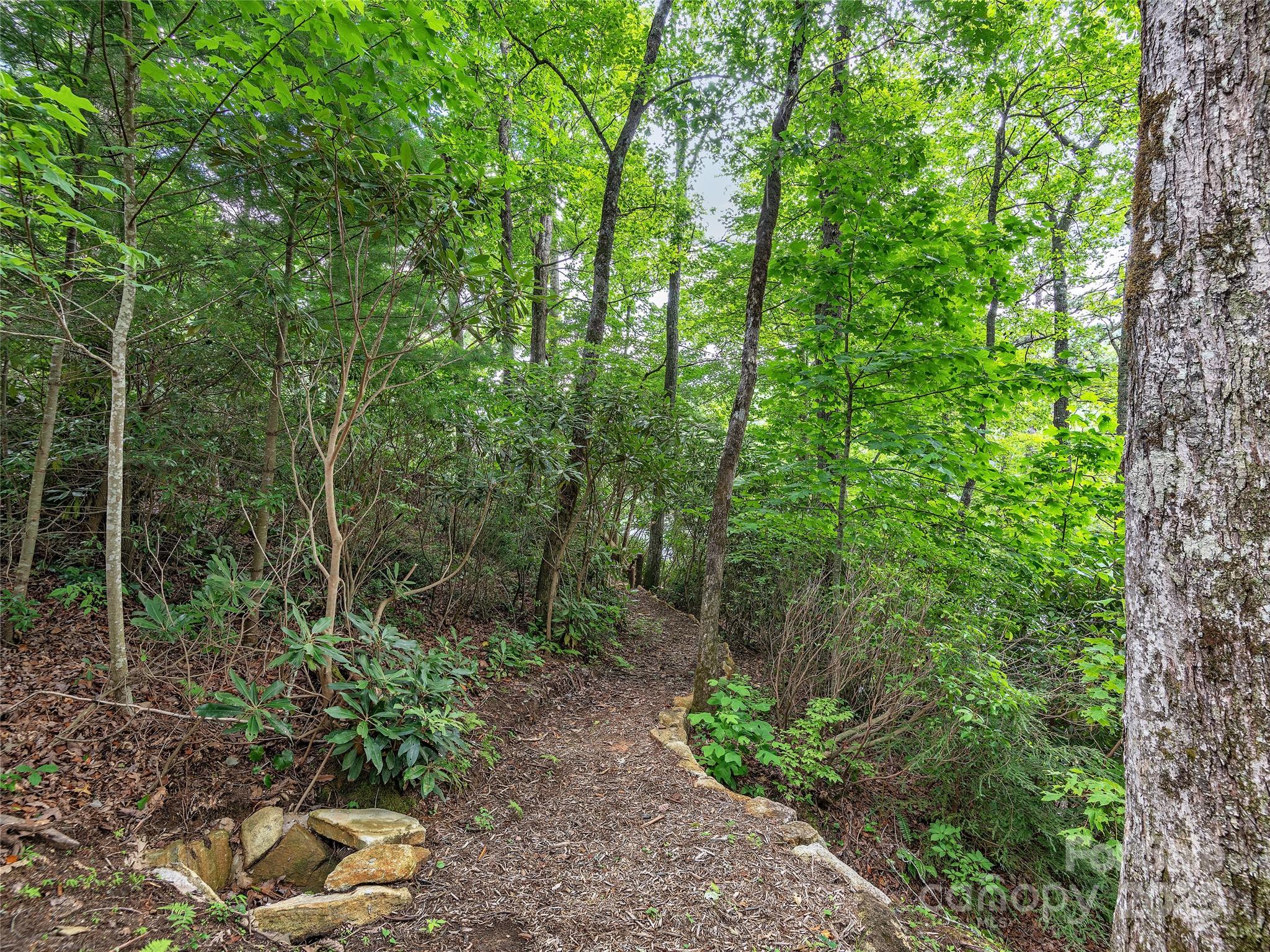 Lot 102a Hwy 64 Drive 102 Property Photo 11