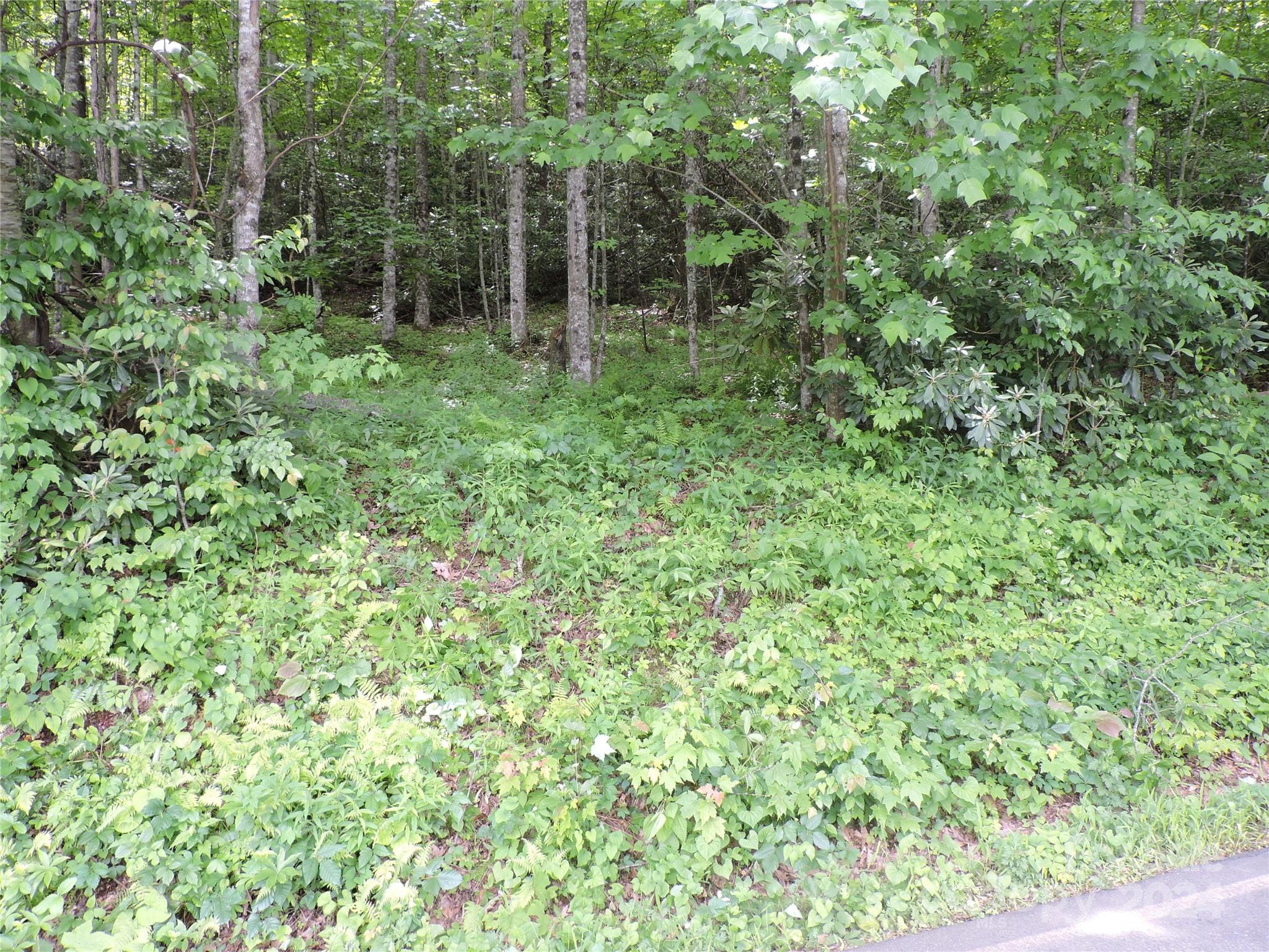 00 South Toe River Road Lot 2 Property Photo 3