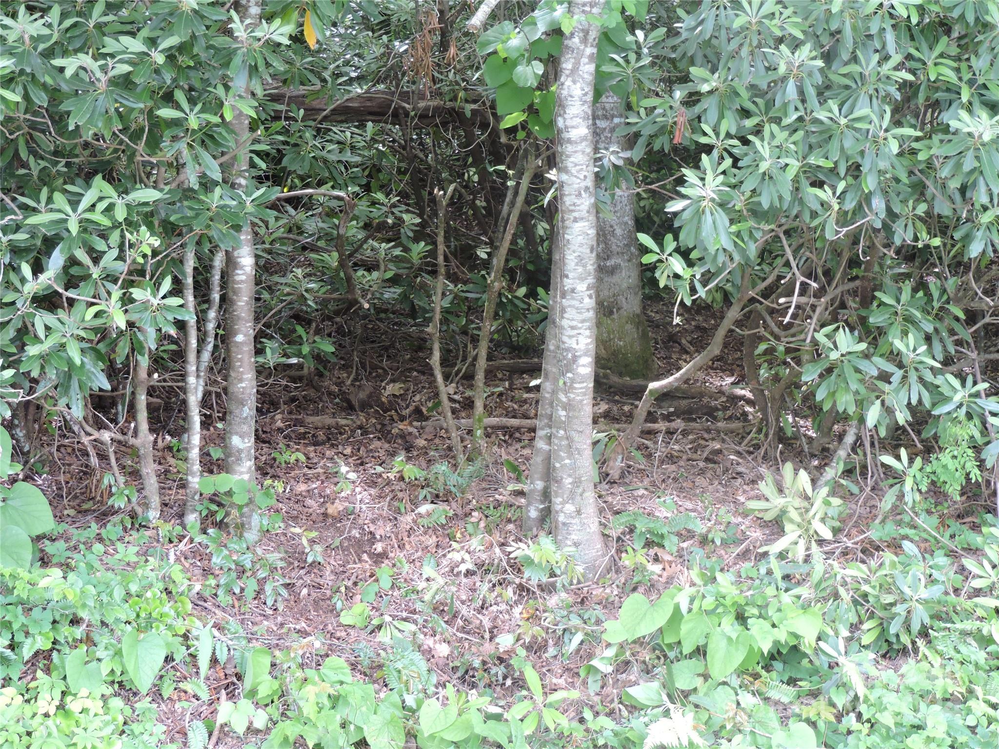00 South Toe River Road Lot 2 Property Photo 27