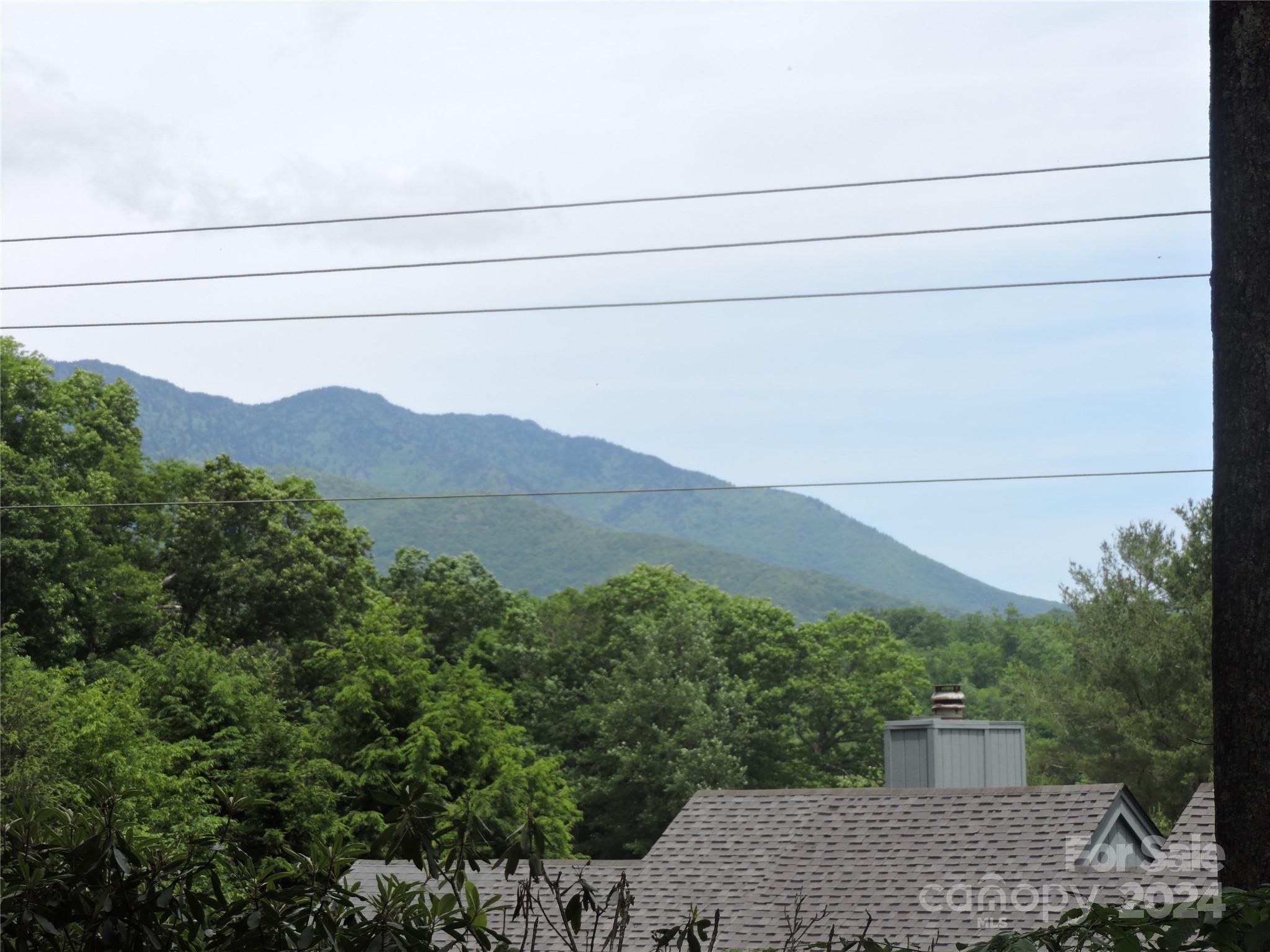 00 South Toe River Road Lot 2 Property Photo 28