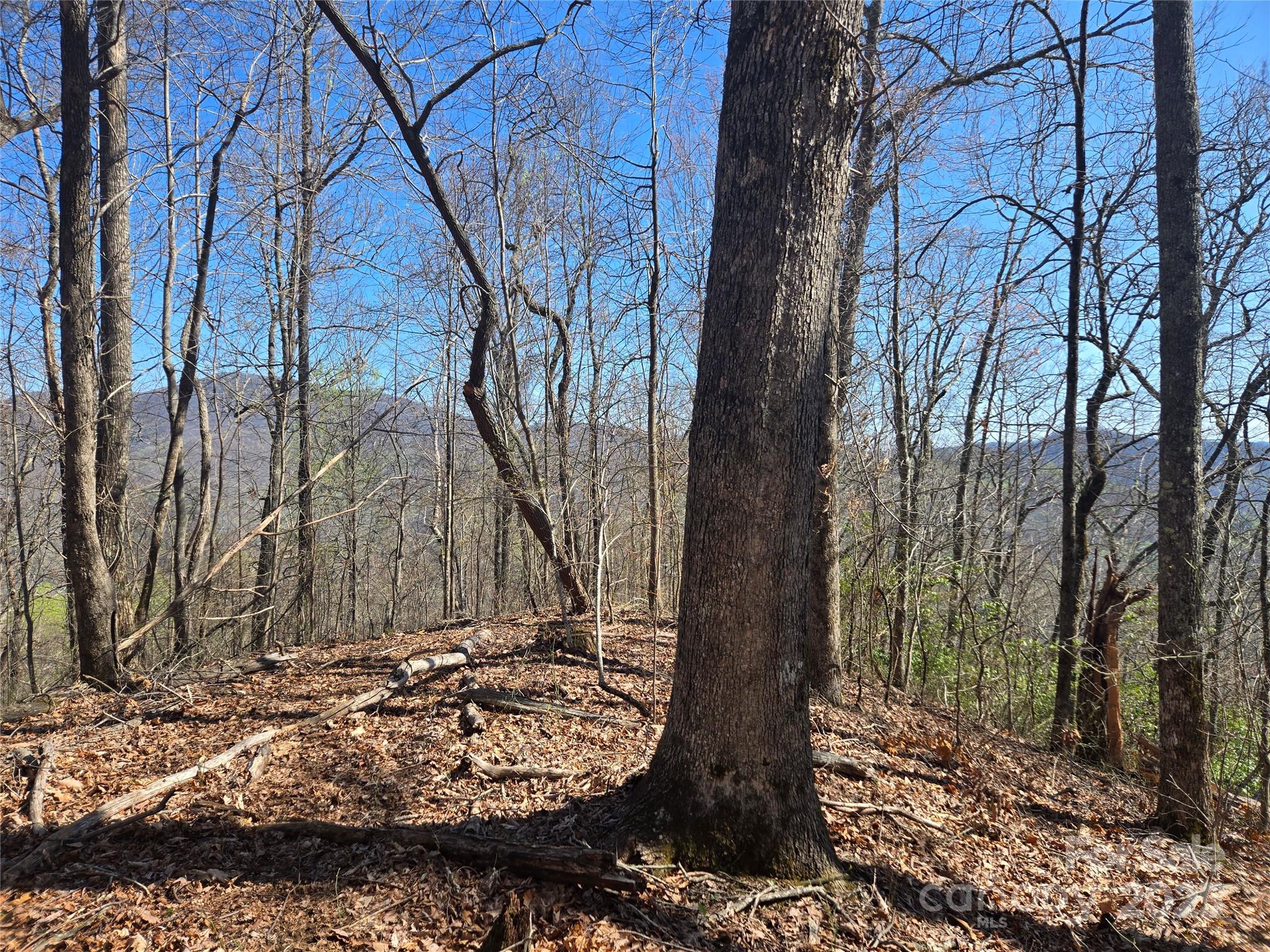 000 Brasstown Road Property Photo 3