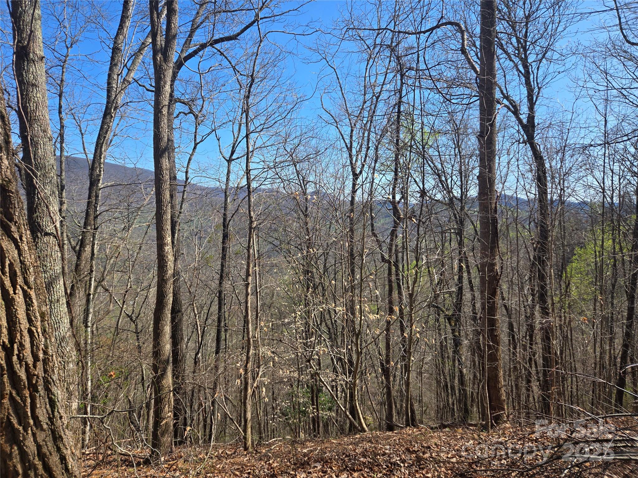 000 Brasstown Road Property Photo 4