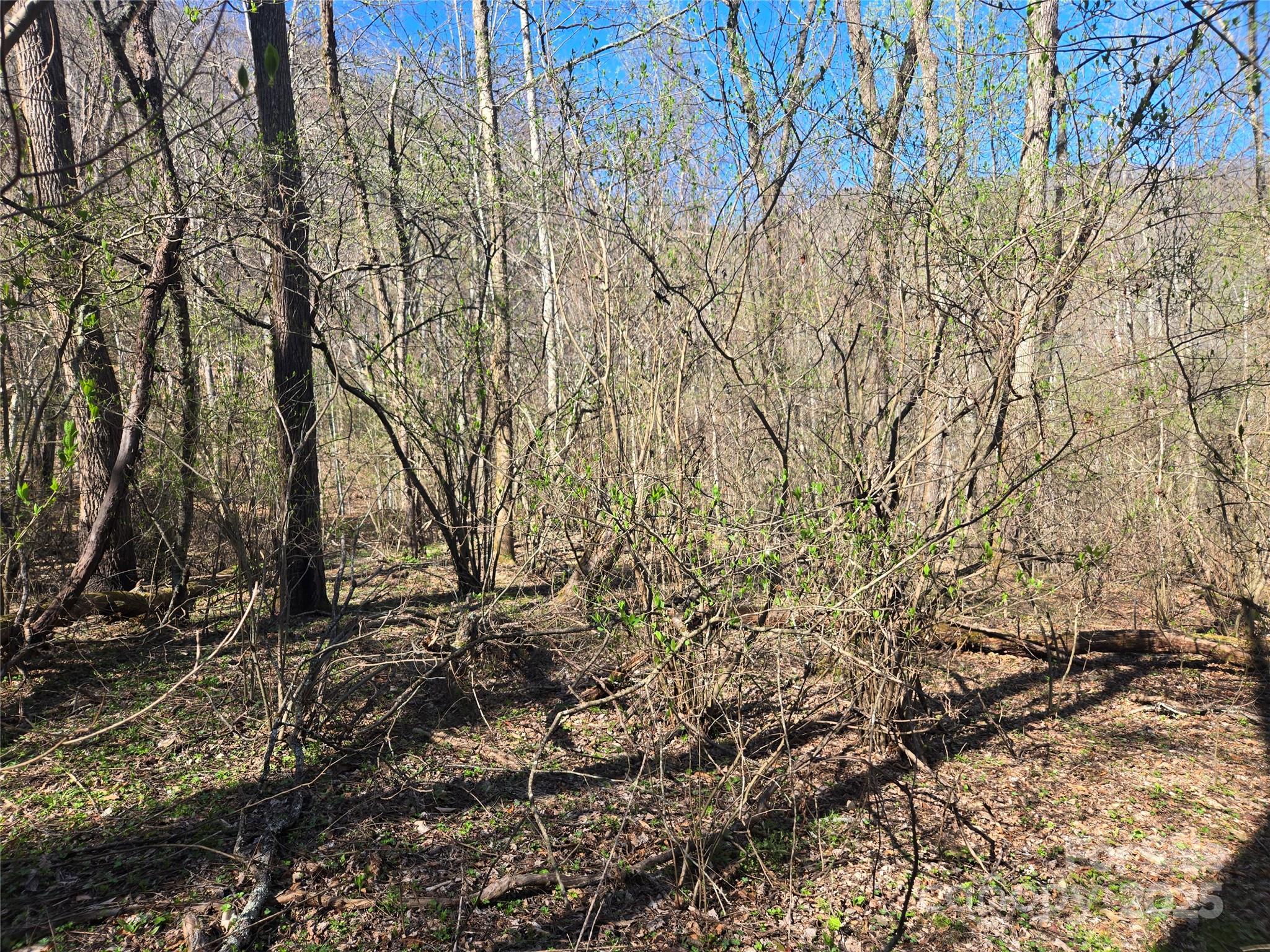 000 Brasstown Road Property Photo 9