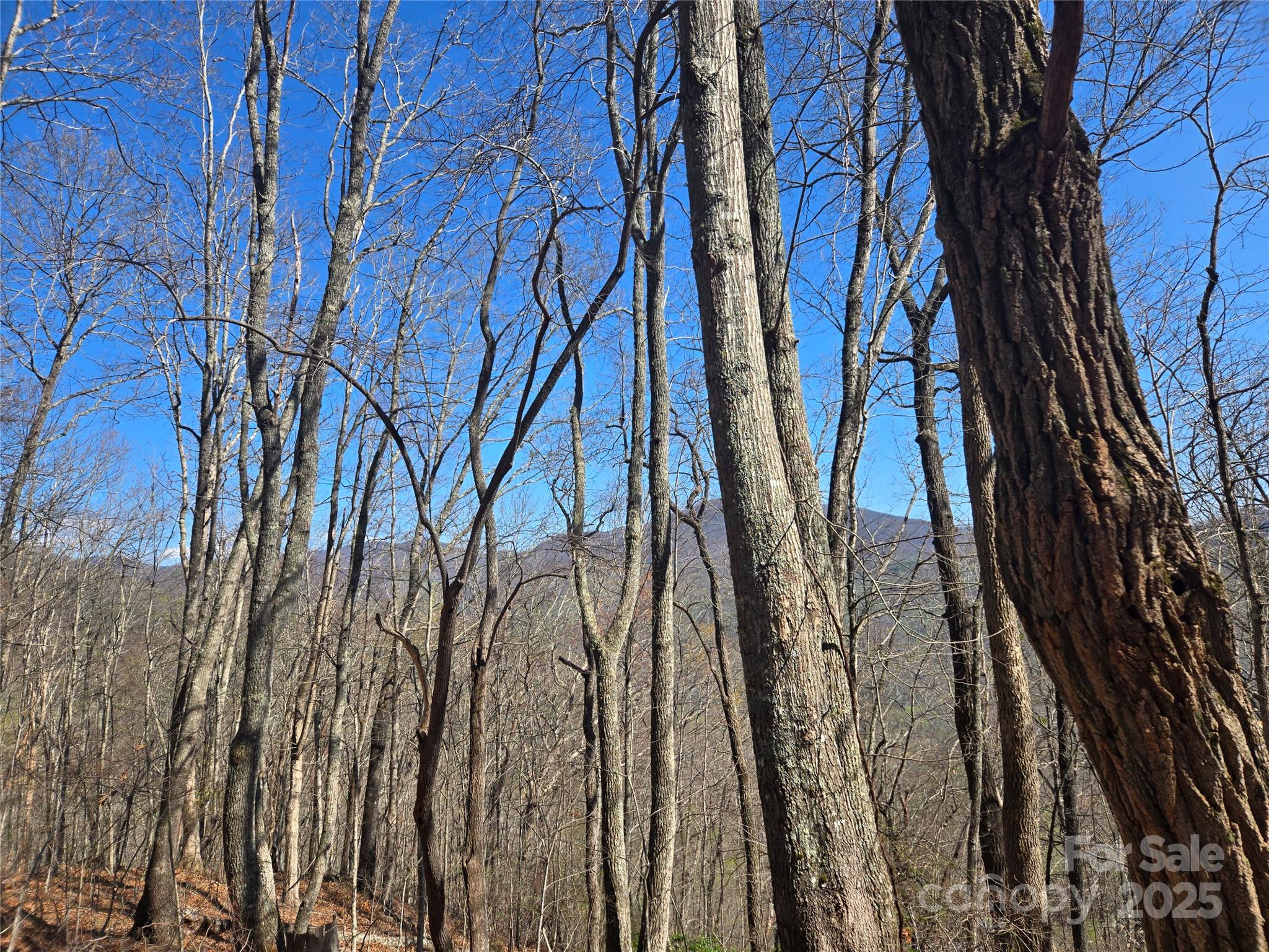 000 Brasstown Road Property Photo 12