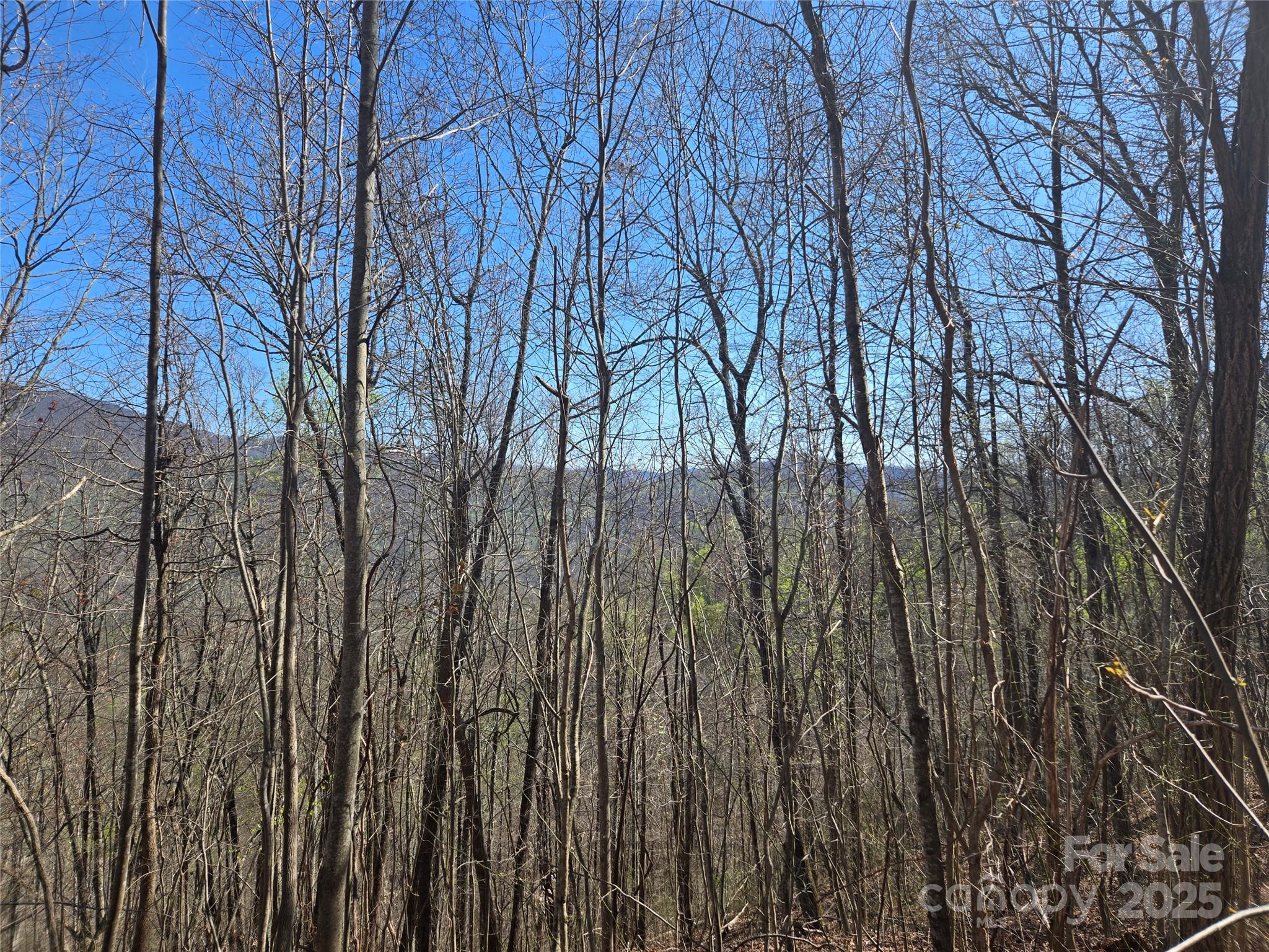 000 Brasstown Road Property Photo 13