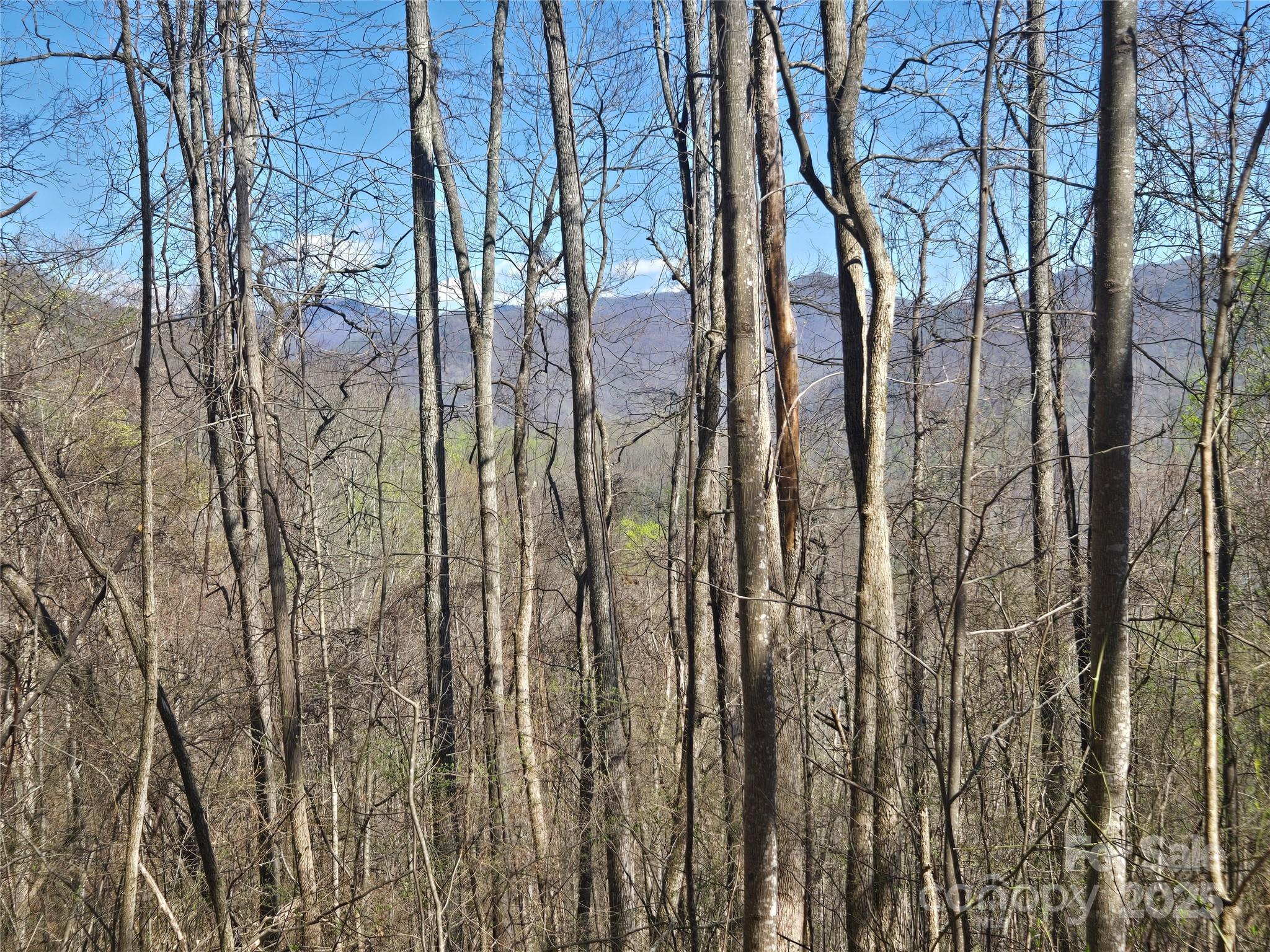 000 Brasstown Road Property Photo 14