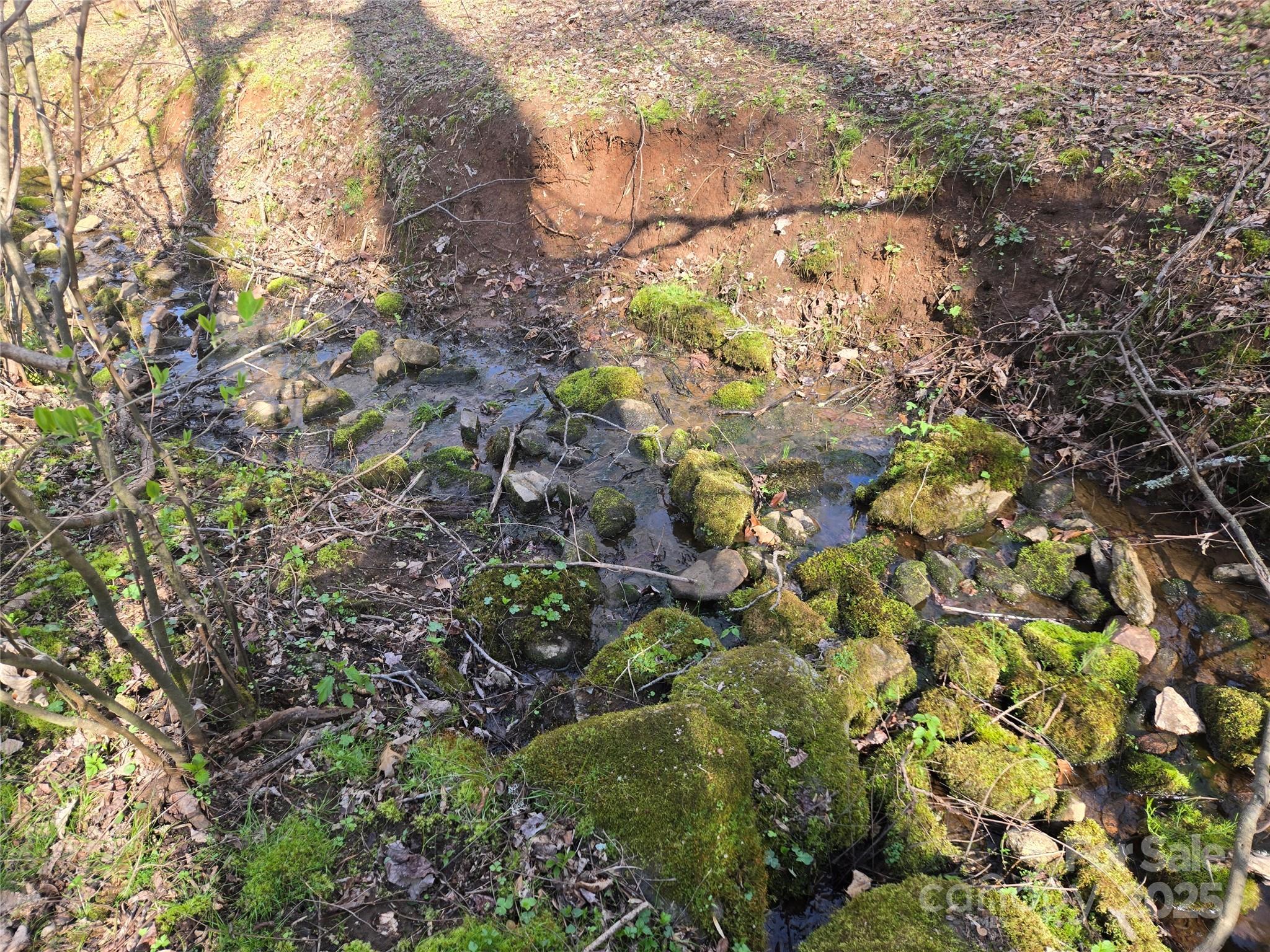 000 Brasstown Road Property Photo 15
