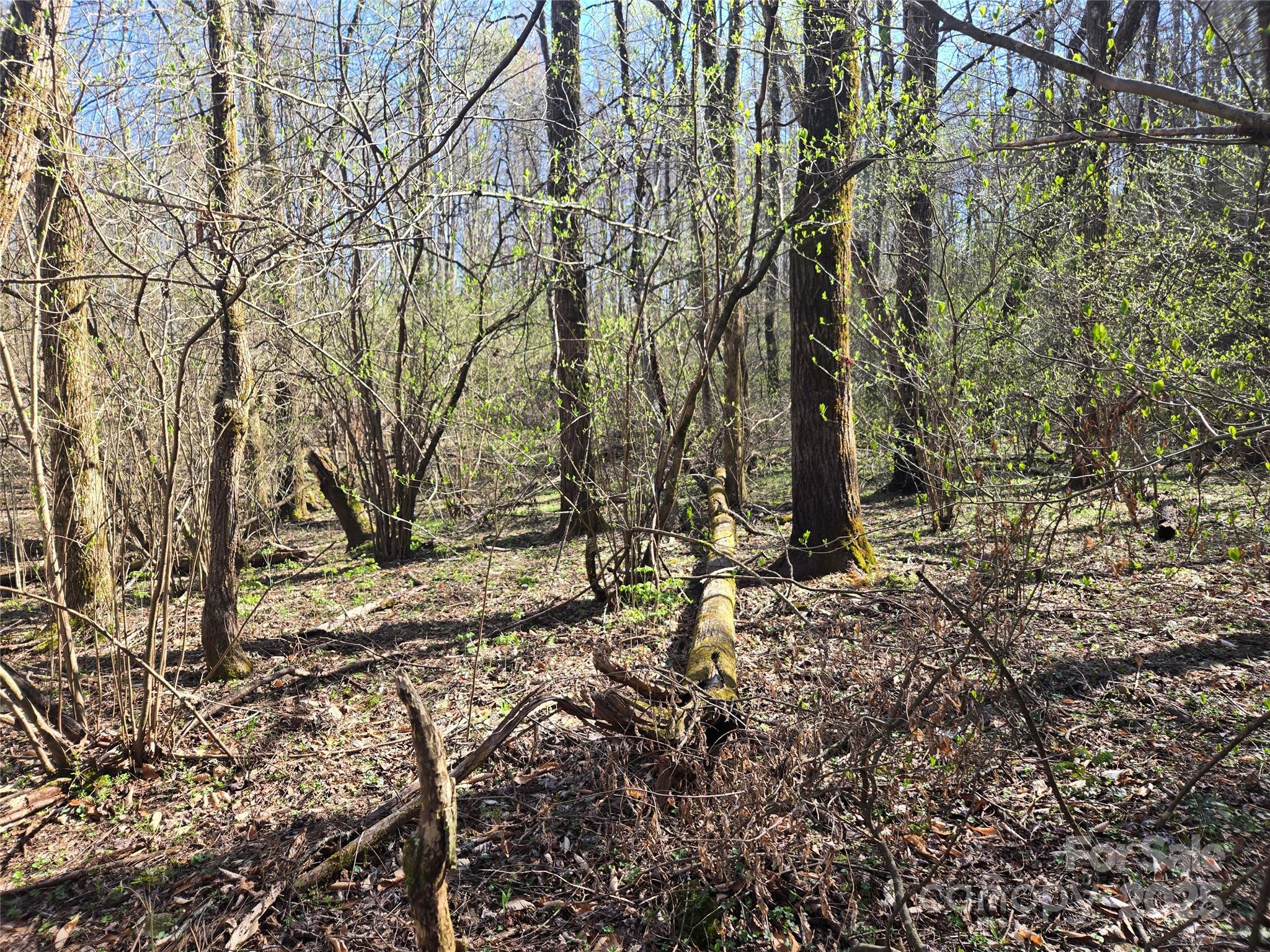 000 Brasstown Road Property Photo 16