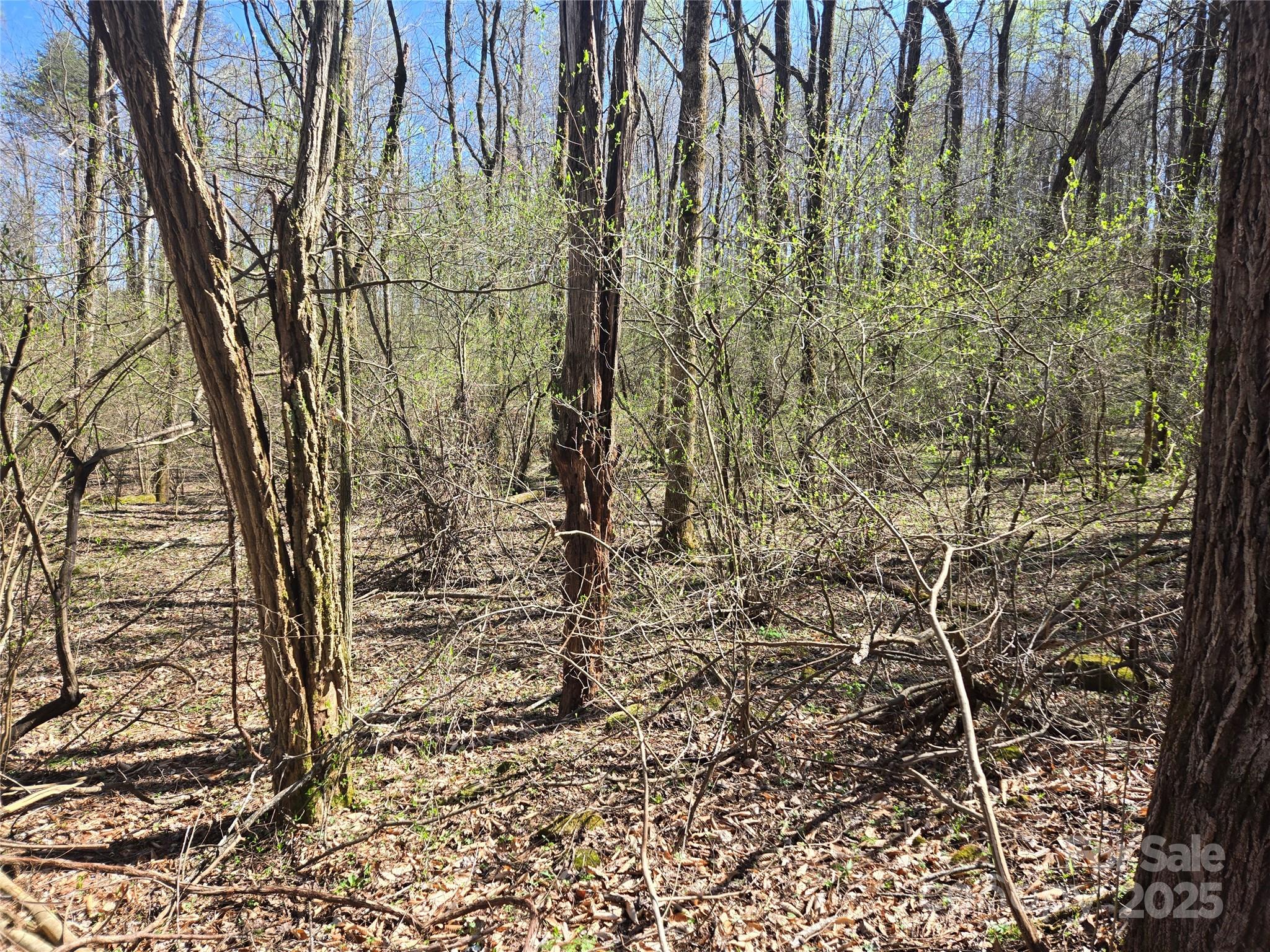 000 Brasstown Road Property Photo 17