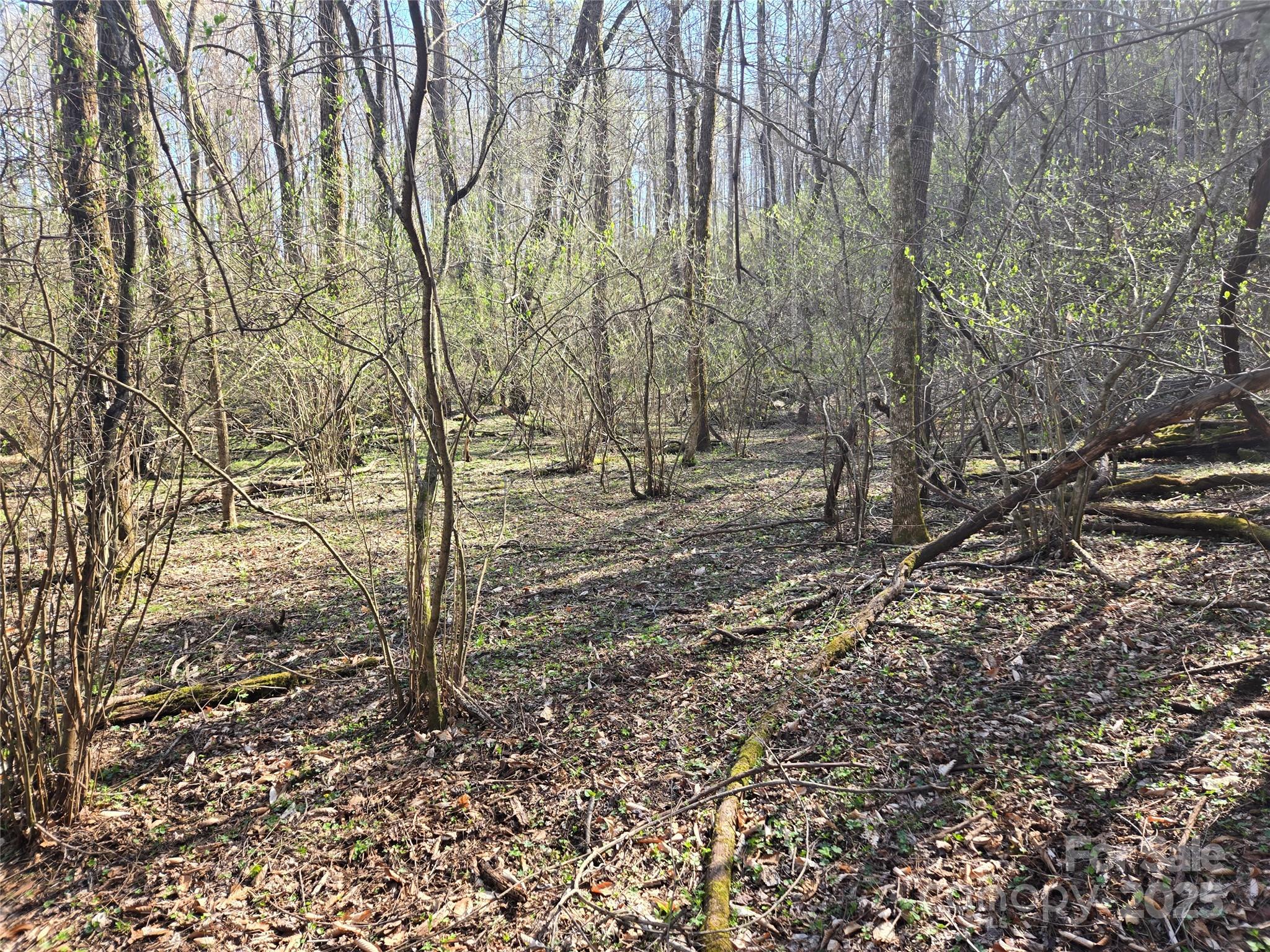 000 Brasstown Road Property Photo 18
