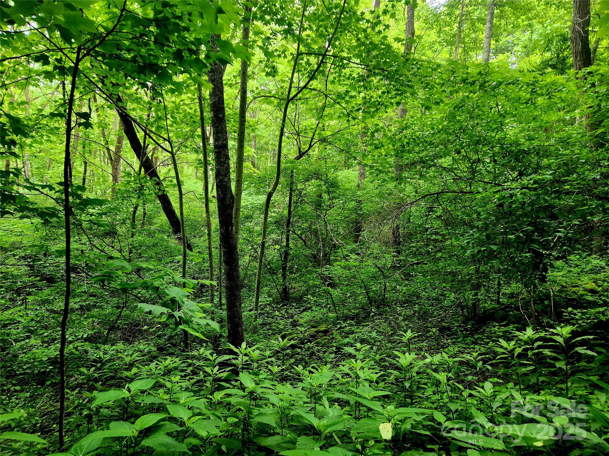 000 Brasstown Road Property Photo 19
