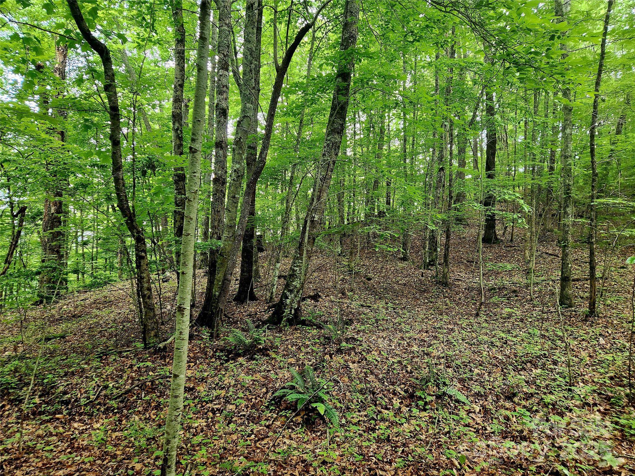 000 Brasstown Road Property Photo 23