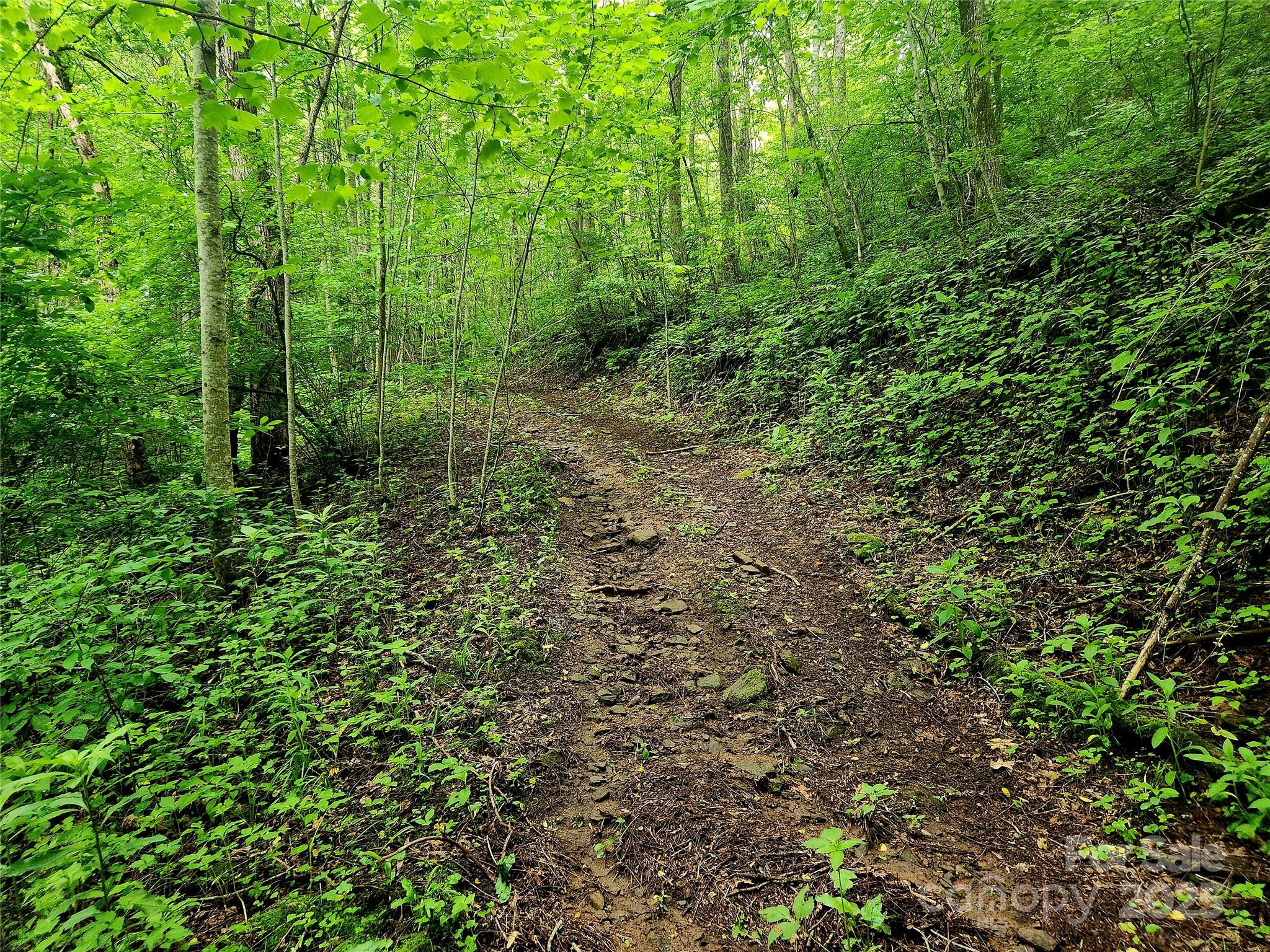 000 Brasstown Road Property Photo 26