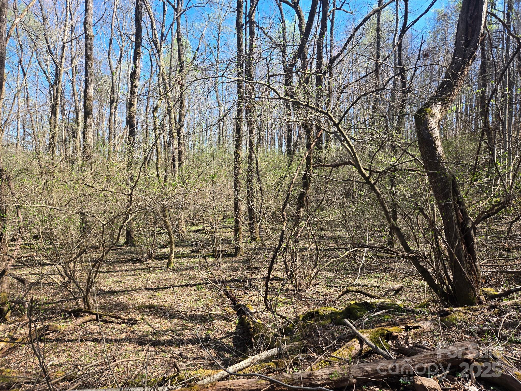 000 Brasstown Road Property Photo 28
