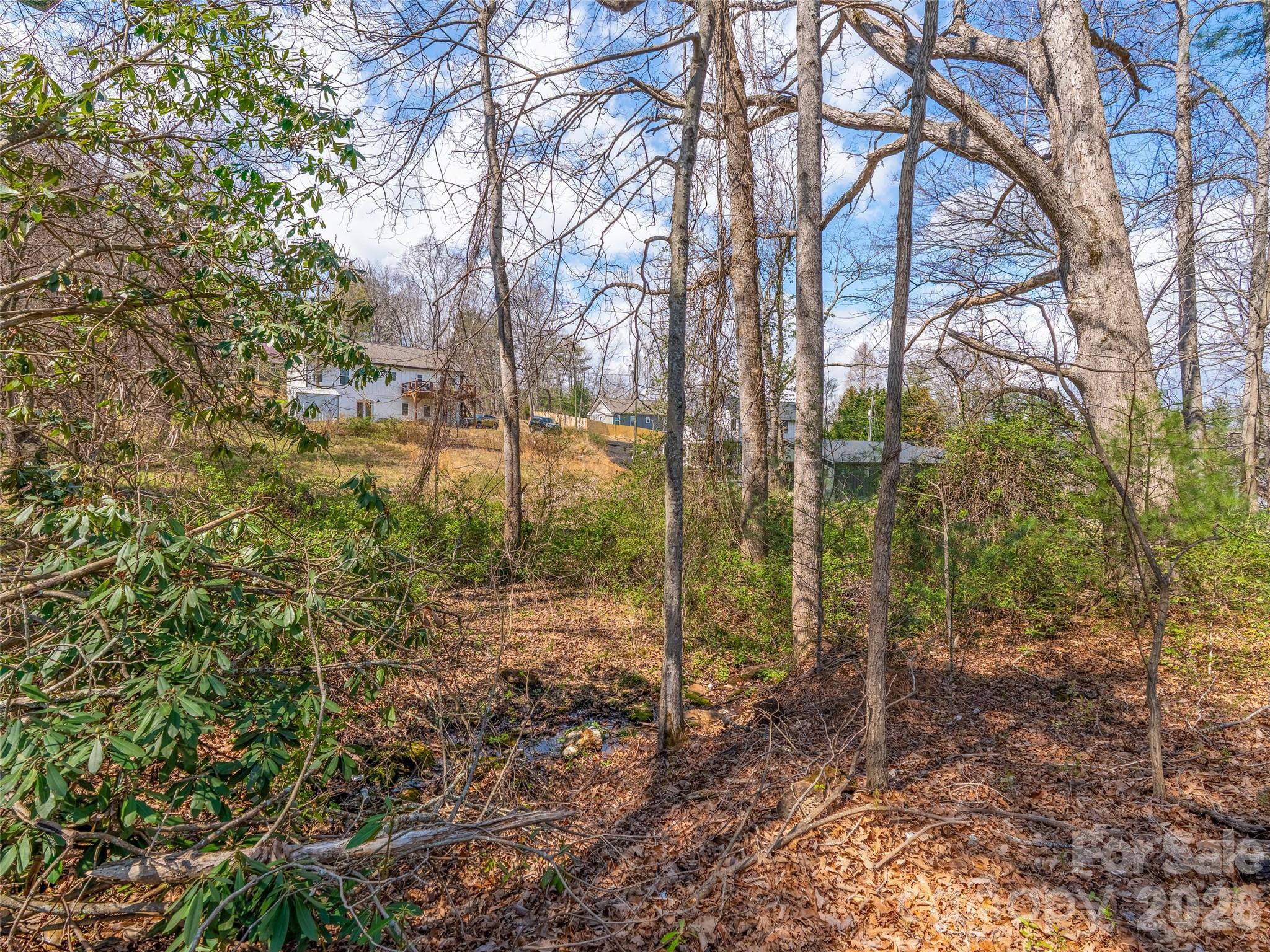 105 Round Table Trail Lot 6 Property Photo 2