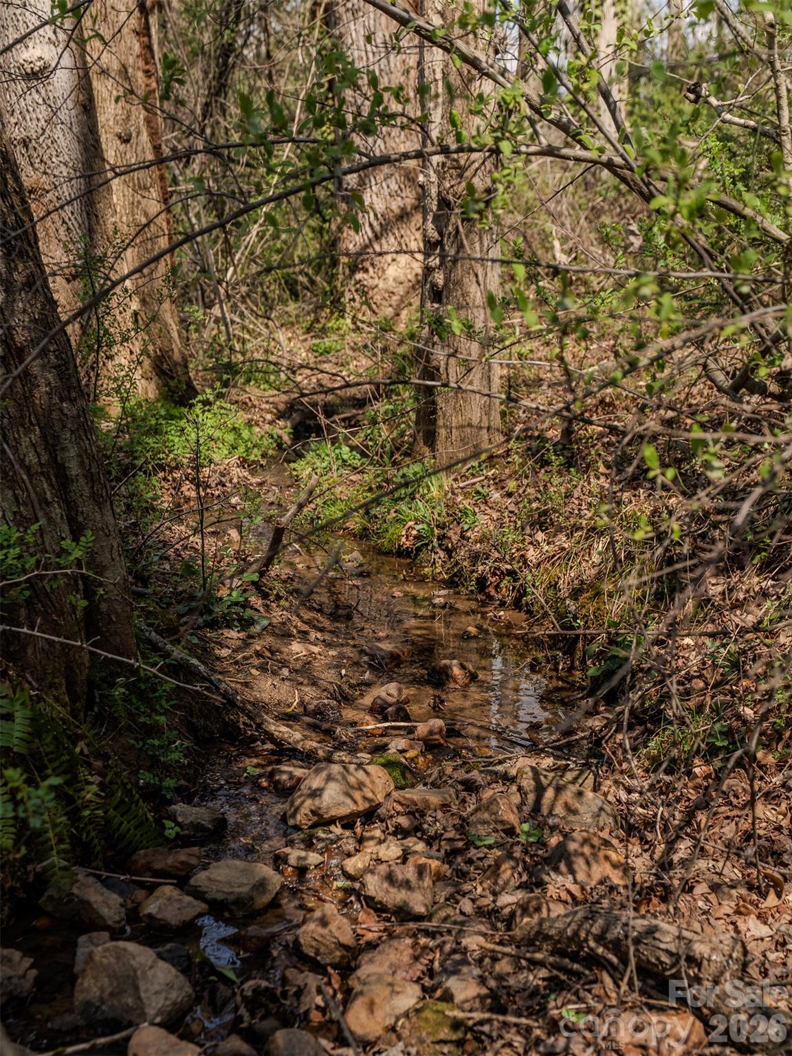 105 Round Table Trail Lot 6 Property Photo 4