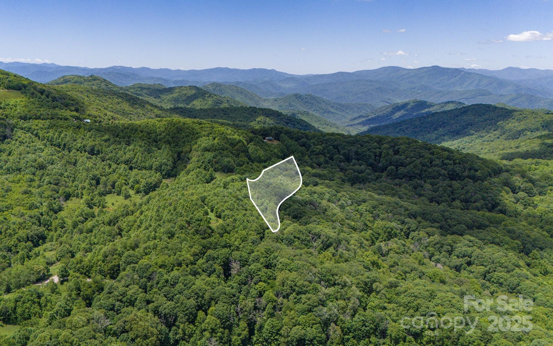 Tract 2 Turkey Trot Road Property Photo 3
