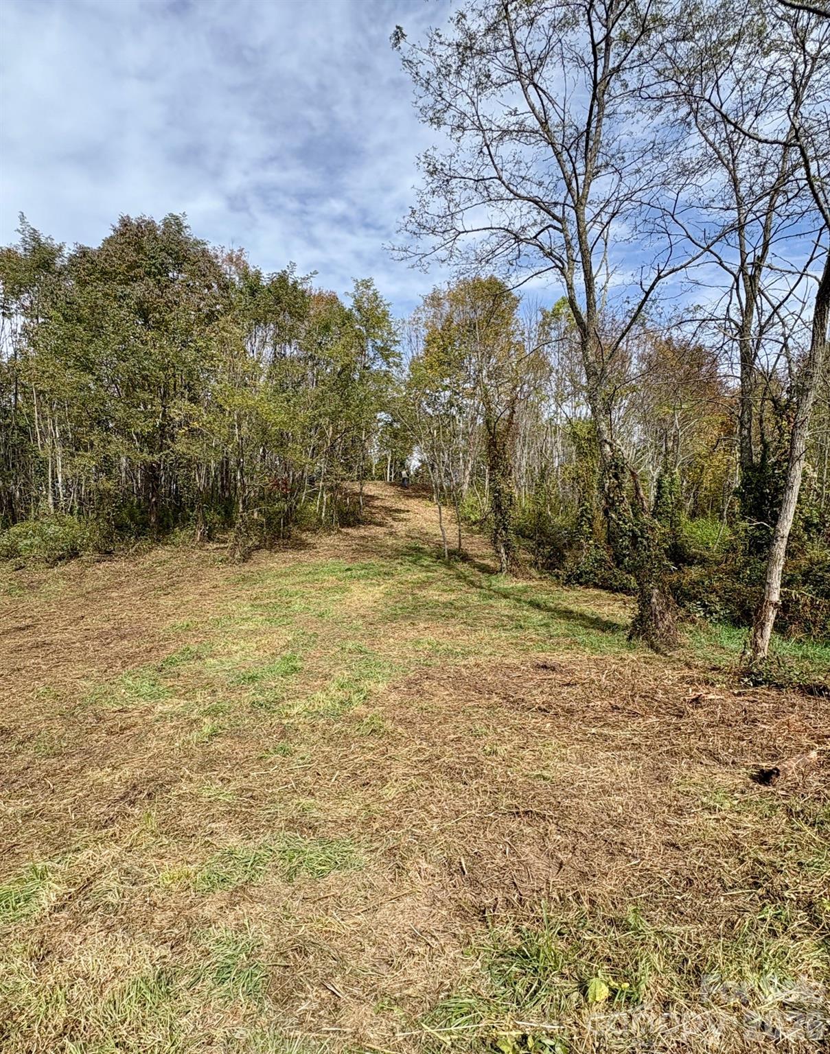 Tract 2 Turkey Trot Road Property Photo 3
