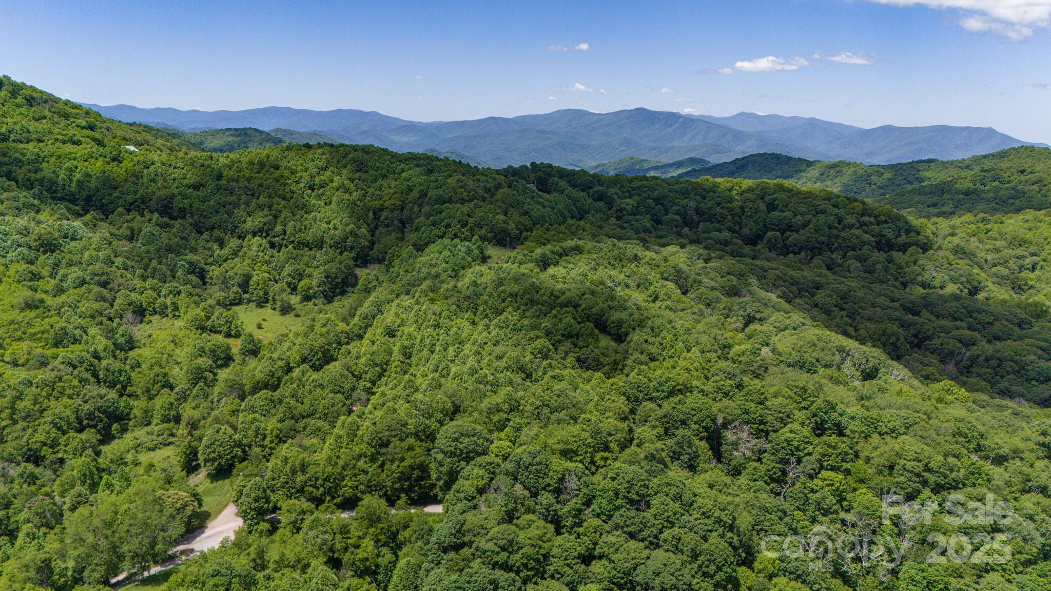Tract 2 Turkey Trot Road Property Photo 4