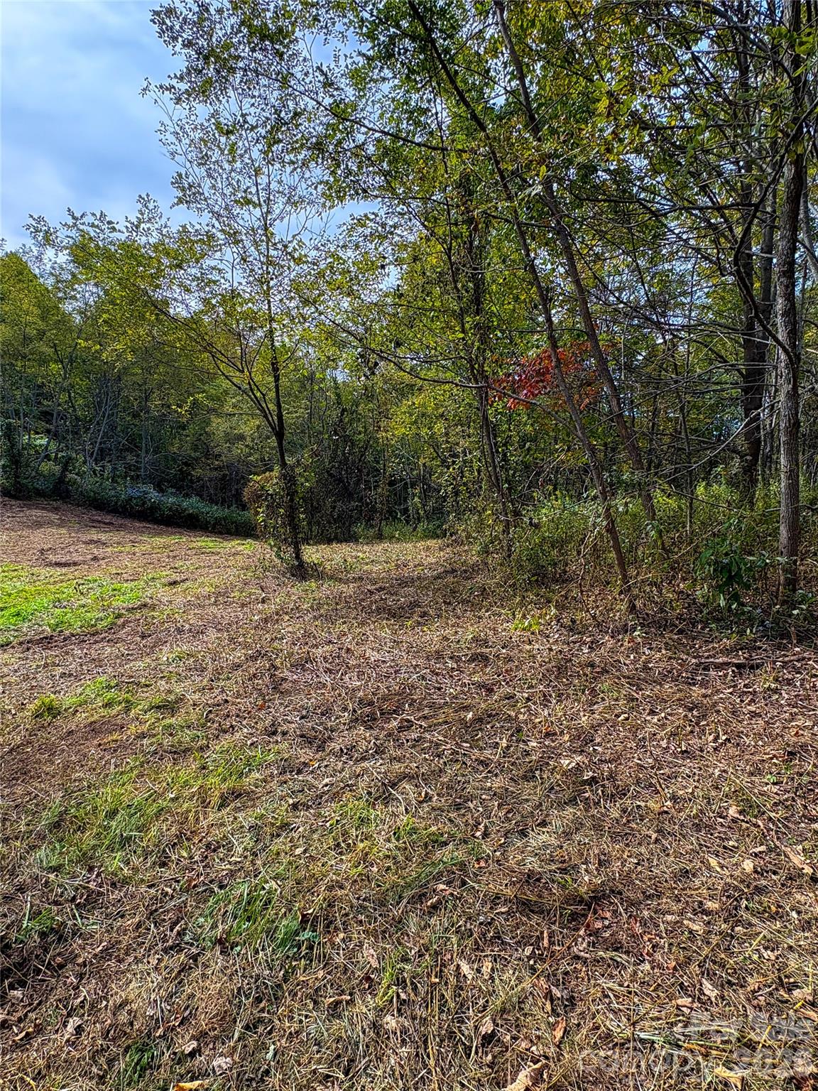 Tract 2 Turkey Trot Road Property Photo 4
