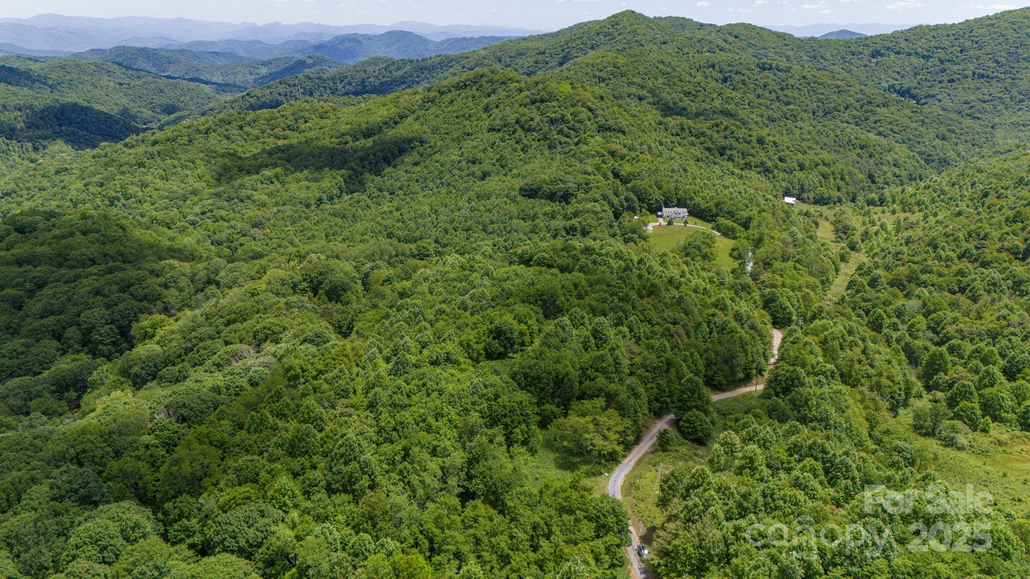 Tract 2 Turkey Trot Road Property Photo 5
