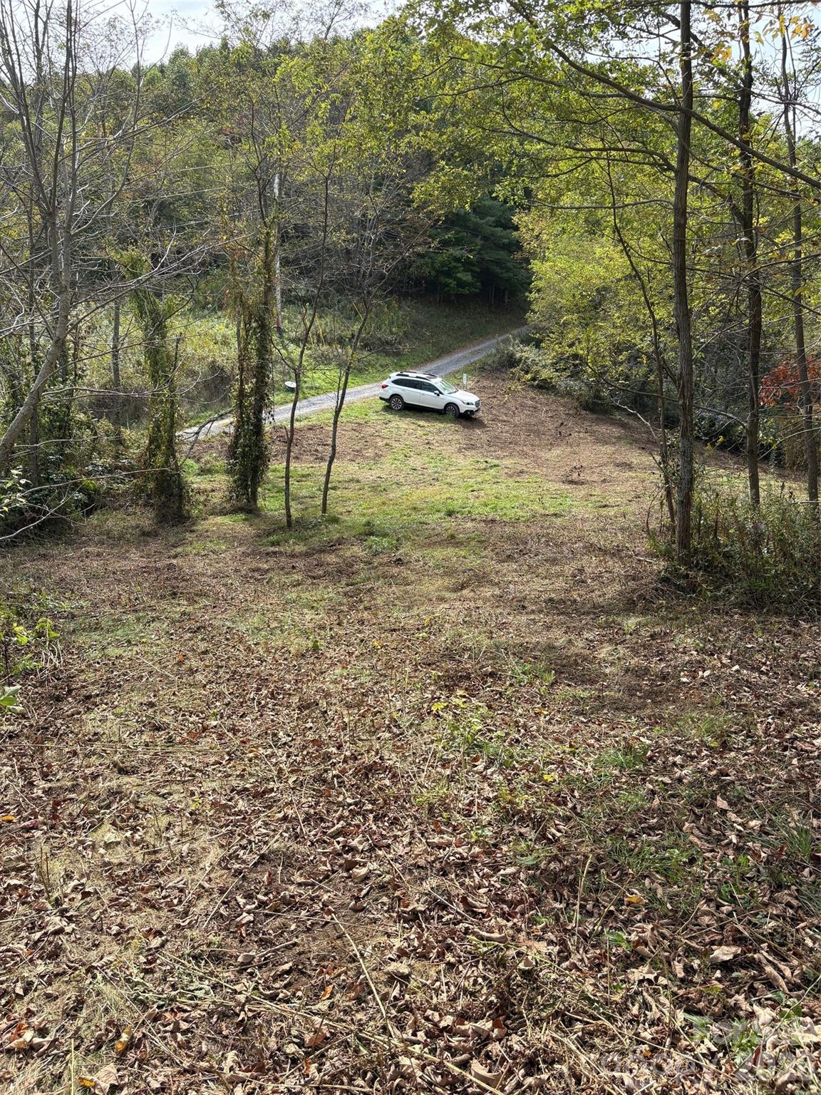 Tract 2 Turkey Trot Road Property Photo 5