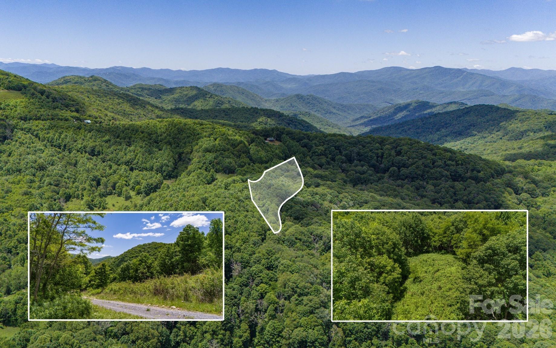 Tract 2 Turkey Trot Road Property Photo 7