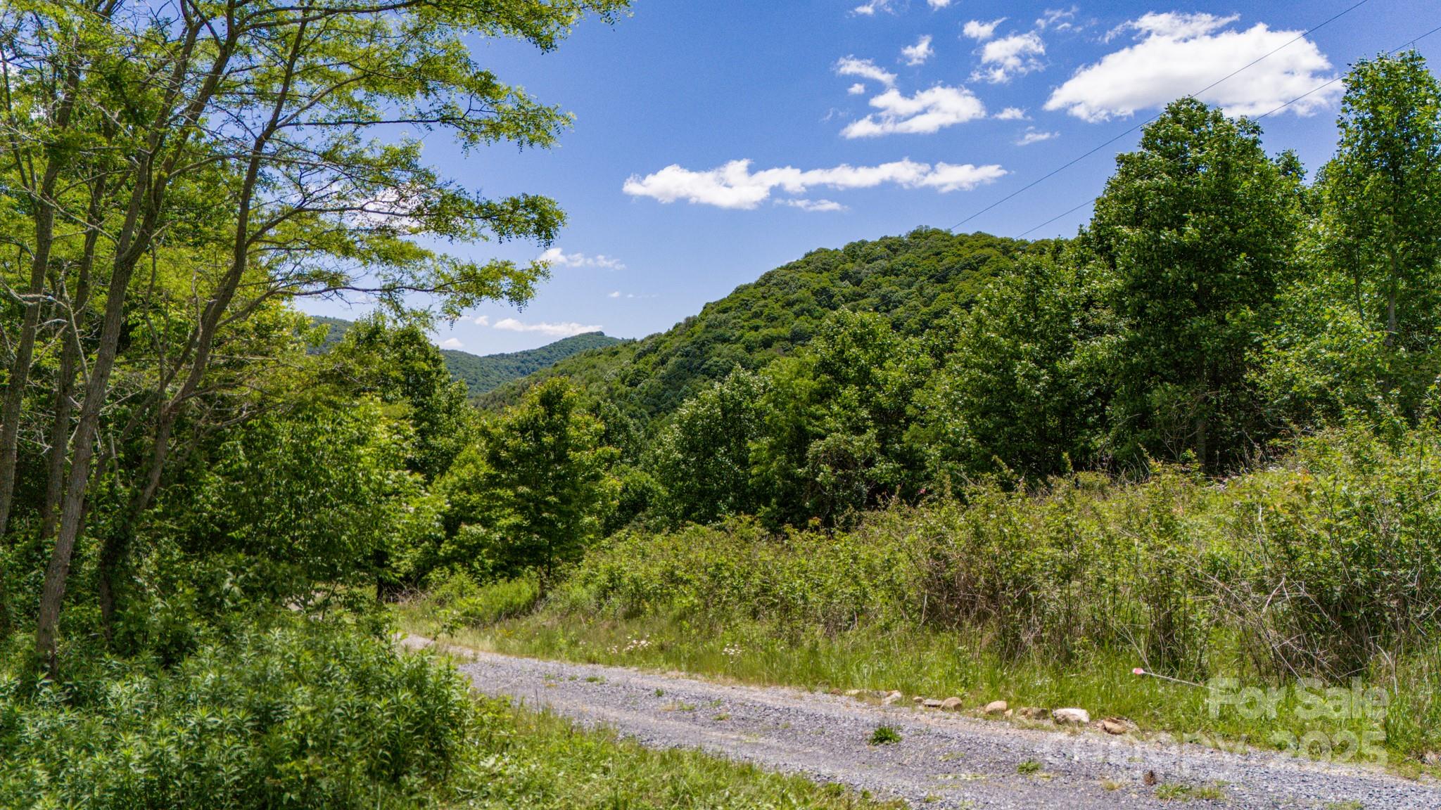 Tract 2 Turkey Trot Road Property Photo 8