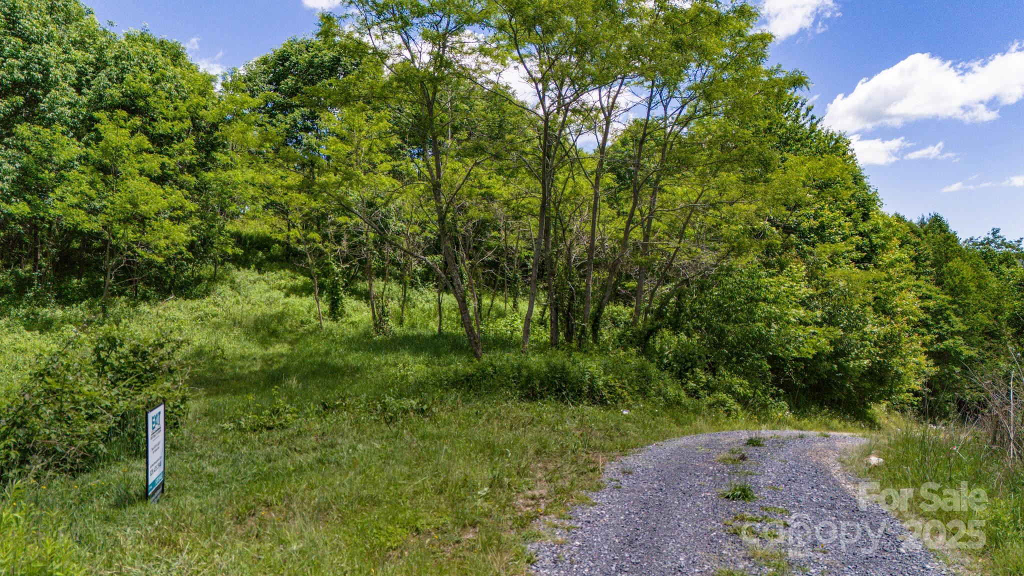 Tract 2 Turkey Trot Road Property Photo 9